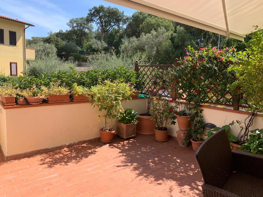 House with garden in Porto Ercole