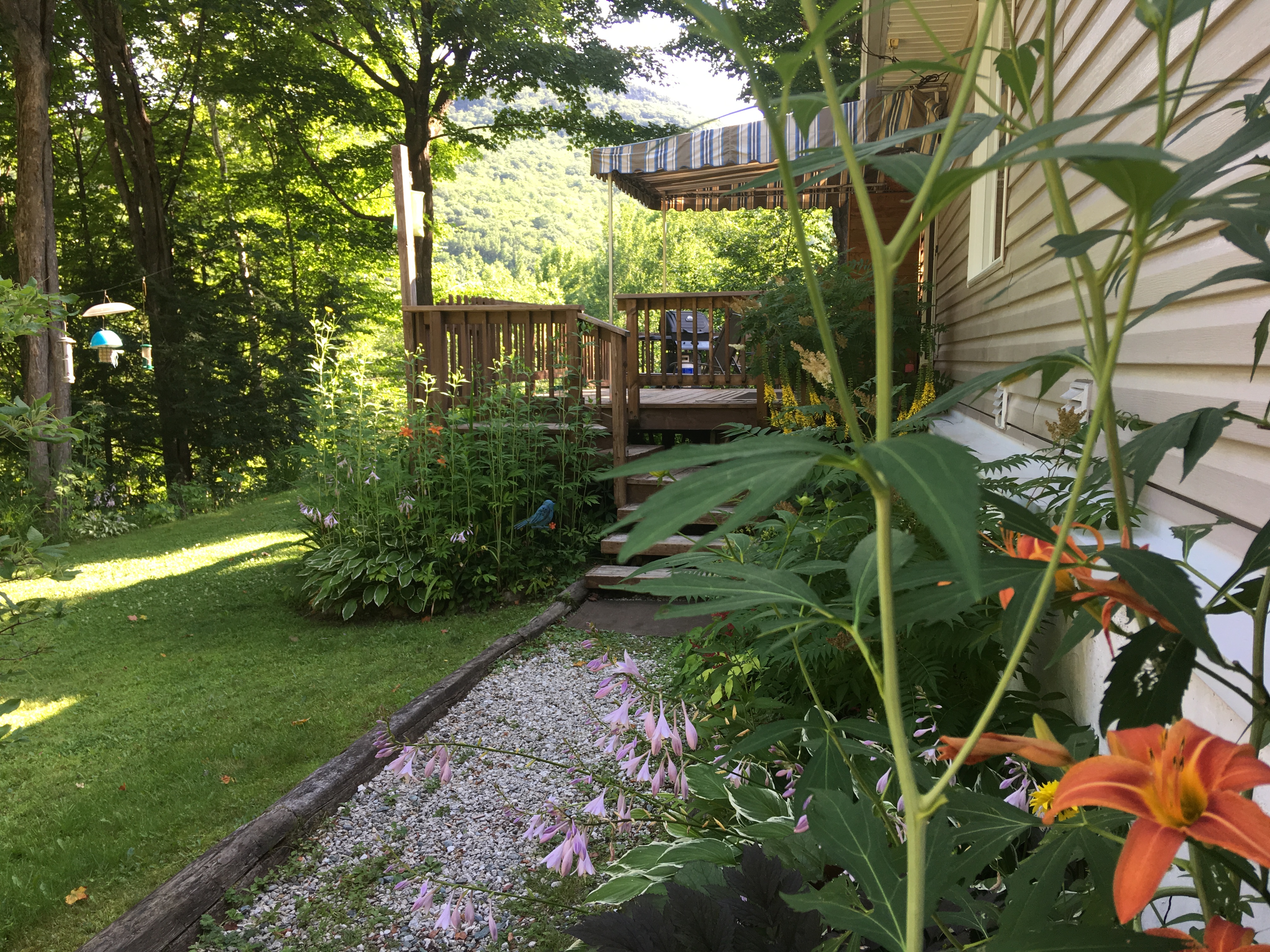 Sentier Du Ruisseau Austin Quebec  : Sentier Ruisseau Mining Is A 6.3 Kilometer Out And Back Trail Located Near Chartierville, Quebec, Canada That Features A River And Is Rated As Moderate.