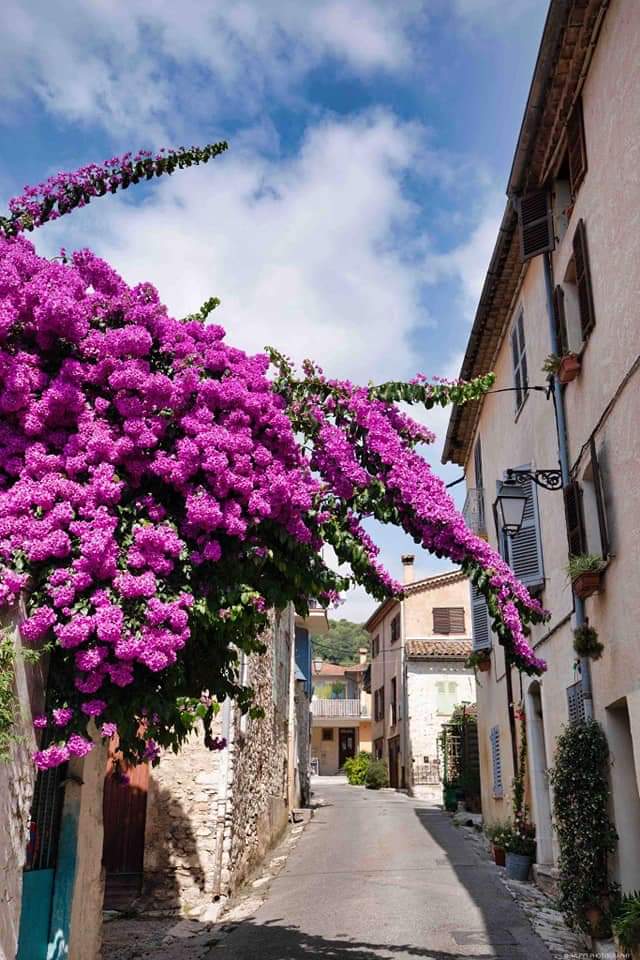 En Provence near Nice