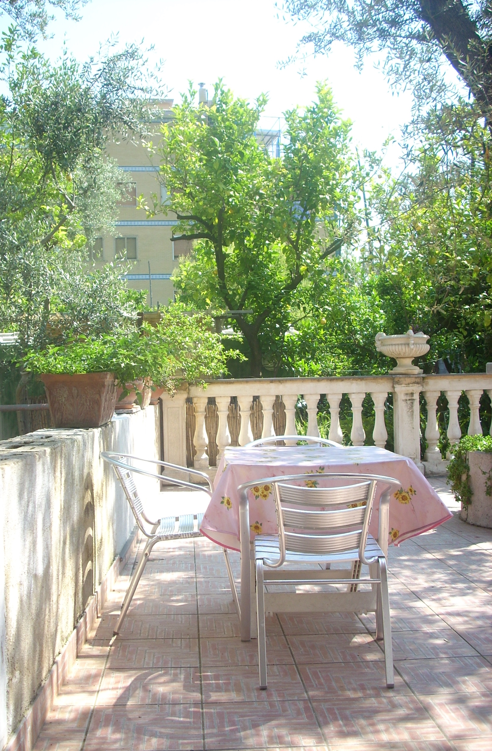Lovely Sorrento studio apt. in garden oasis.