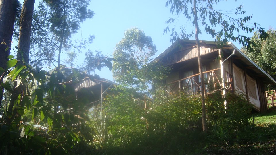 Aberdare Cottages & Fishing Lodge Nature lodges for Rent in Muranga