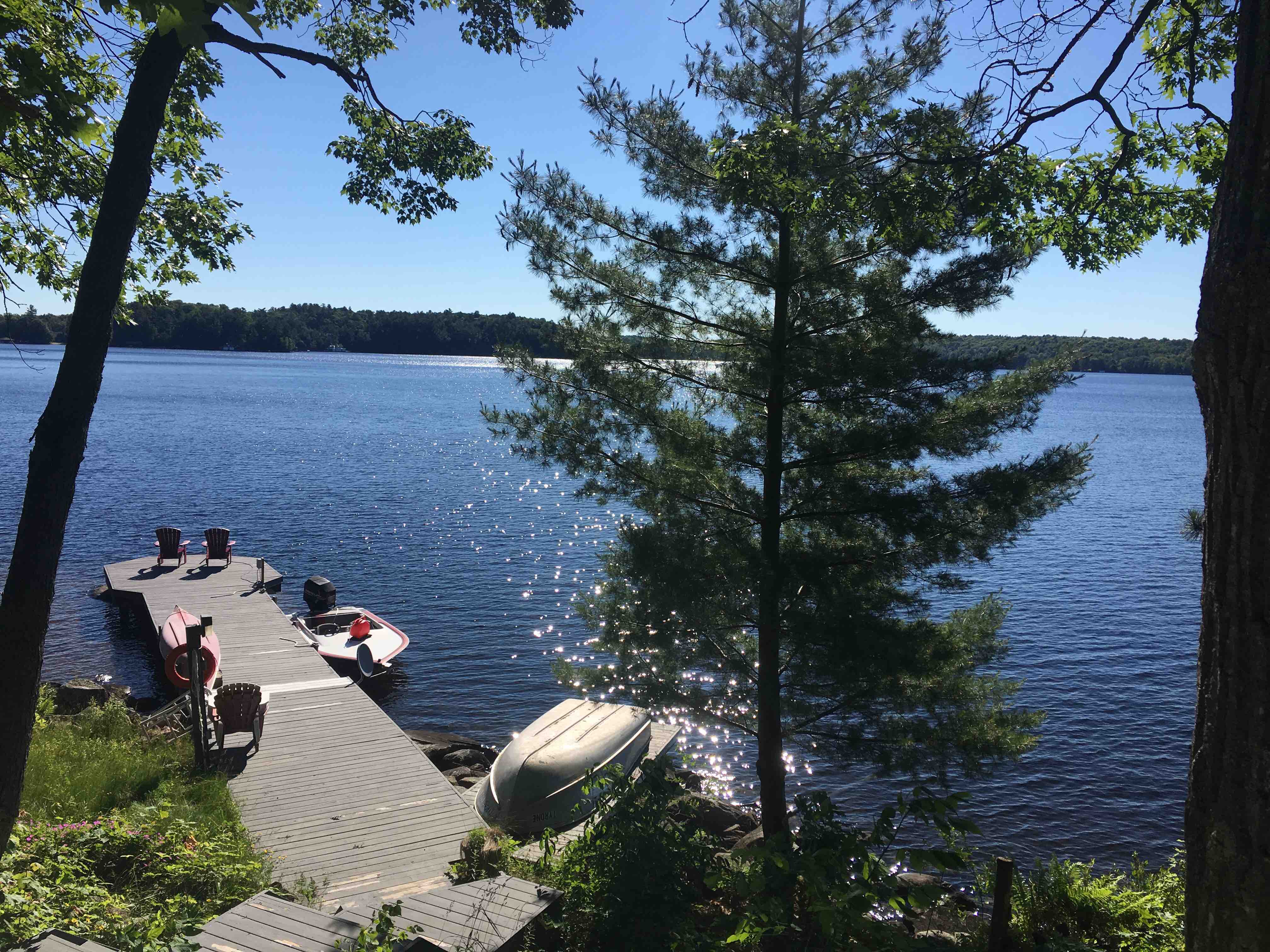 Charming cottage on Lake Muskoka