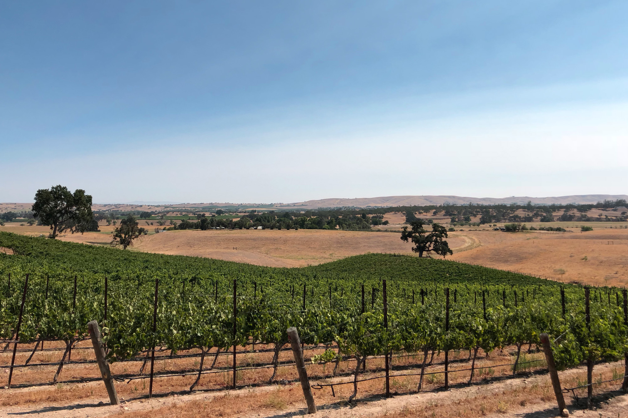 The Farmhouse at Ella's Vineyard Houses for Rent in Creston