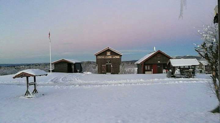 Kozy cabin at Golsfjellet.