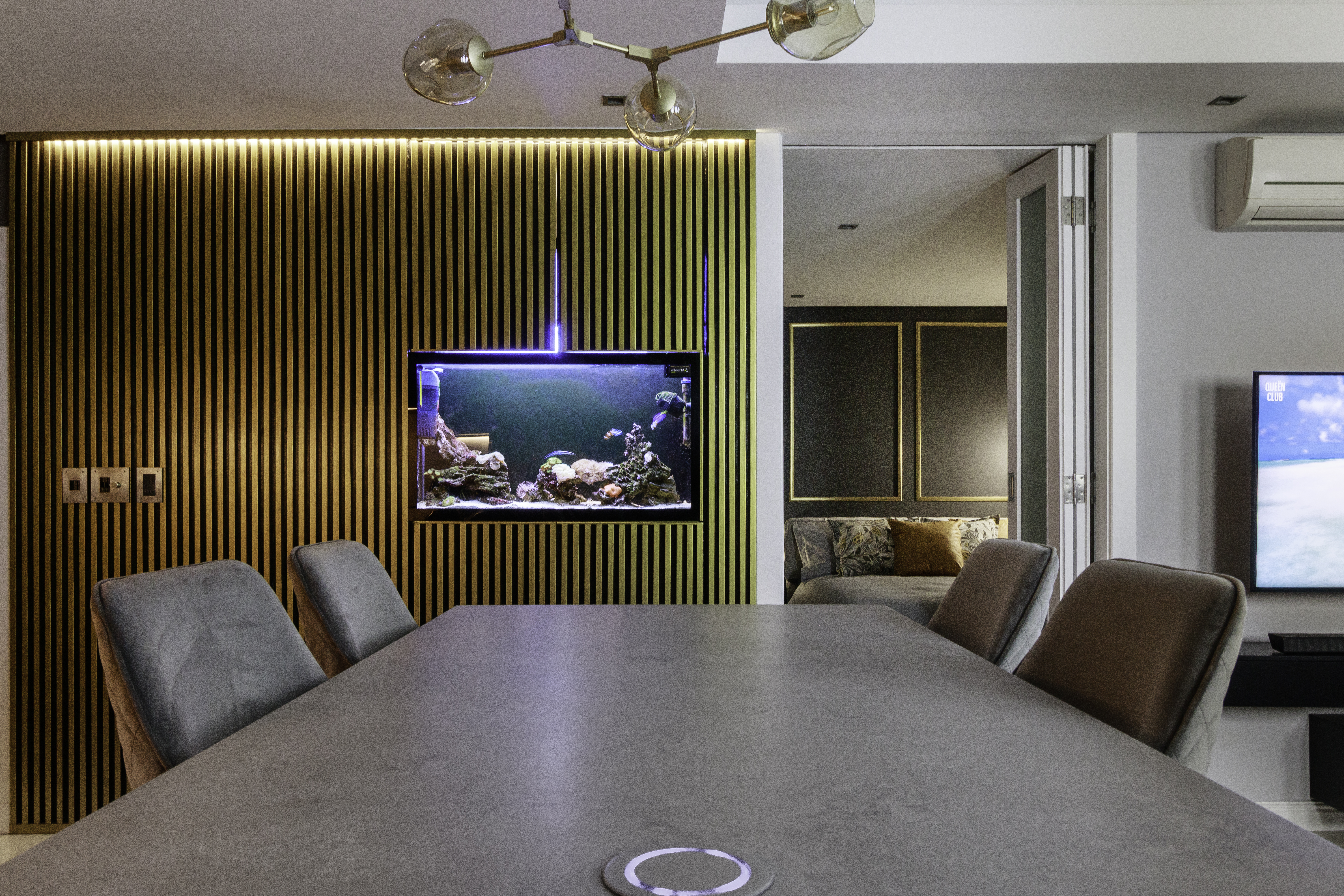 Splash of Glam (Fish Tank)/ City Apartment