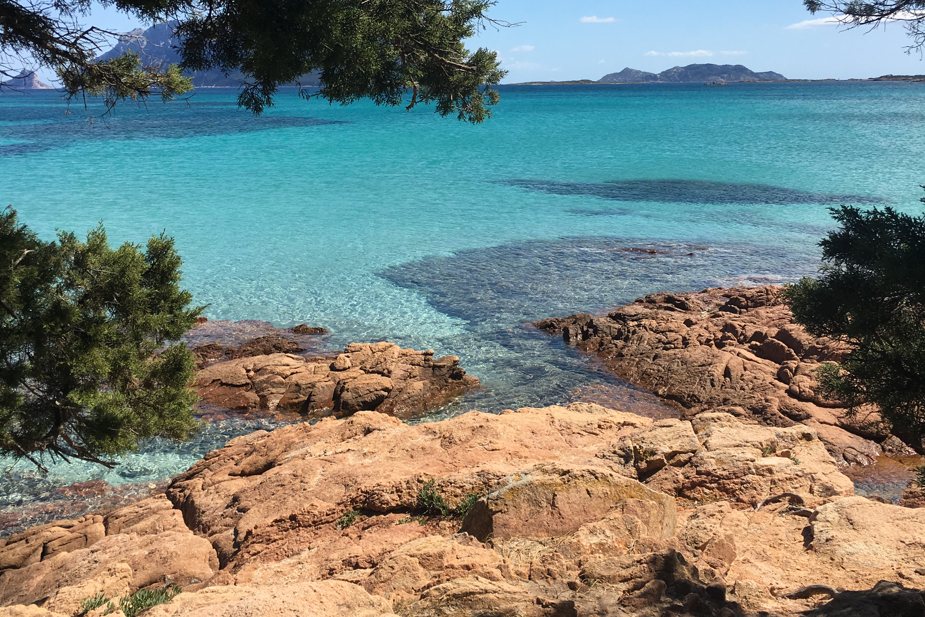 Splendida Casa Olbia Porto Istana Beach Townhouses For Rent In Porto Istana Sardegna Italy