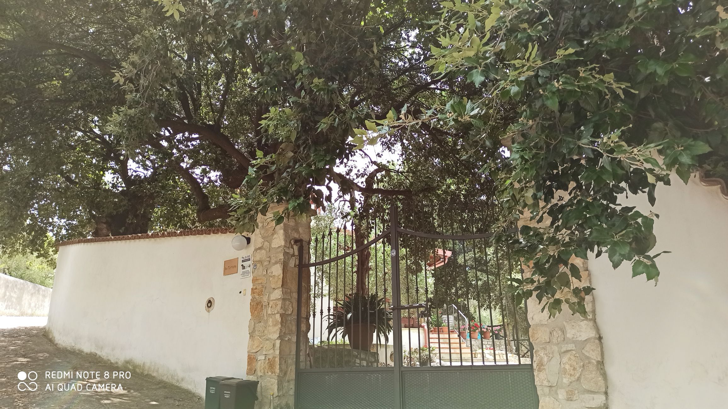 La Torretta nell '0asi agrumaria di Rodi Garganico