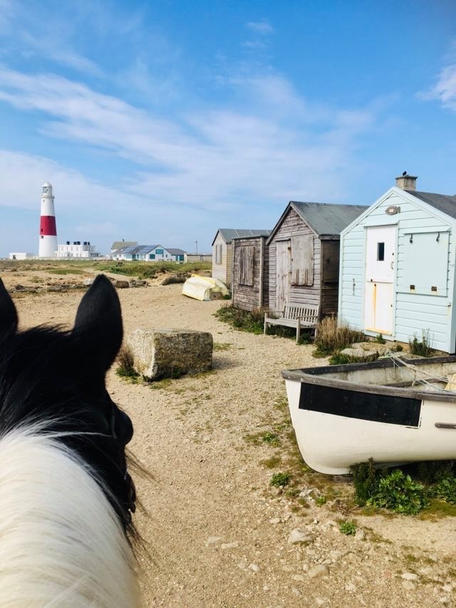 Nearly Wild Camping Portland Bill Dorset 2 Campsites For Rent In Dorset England United Kingdom