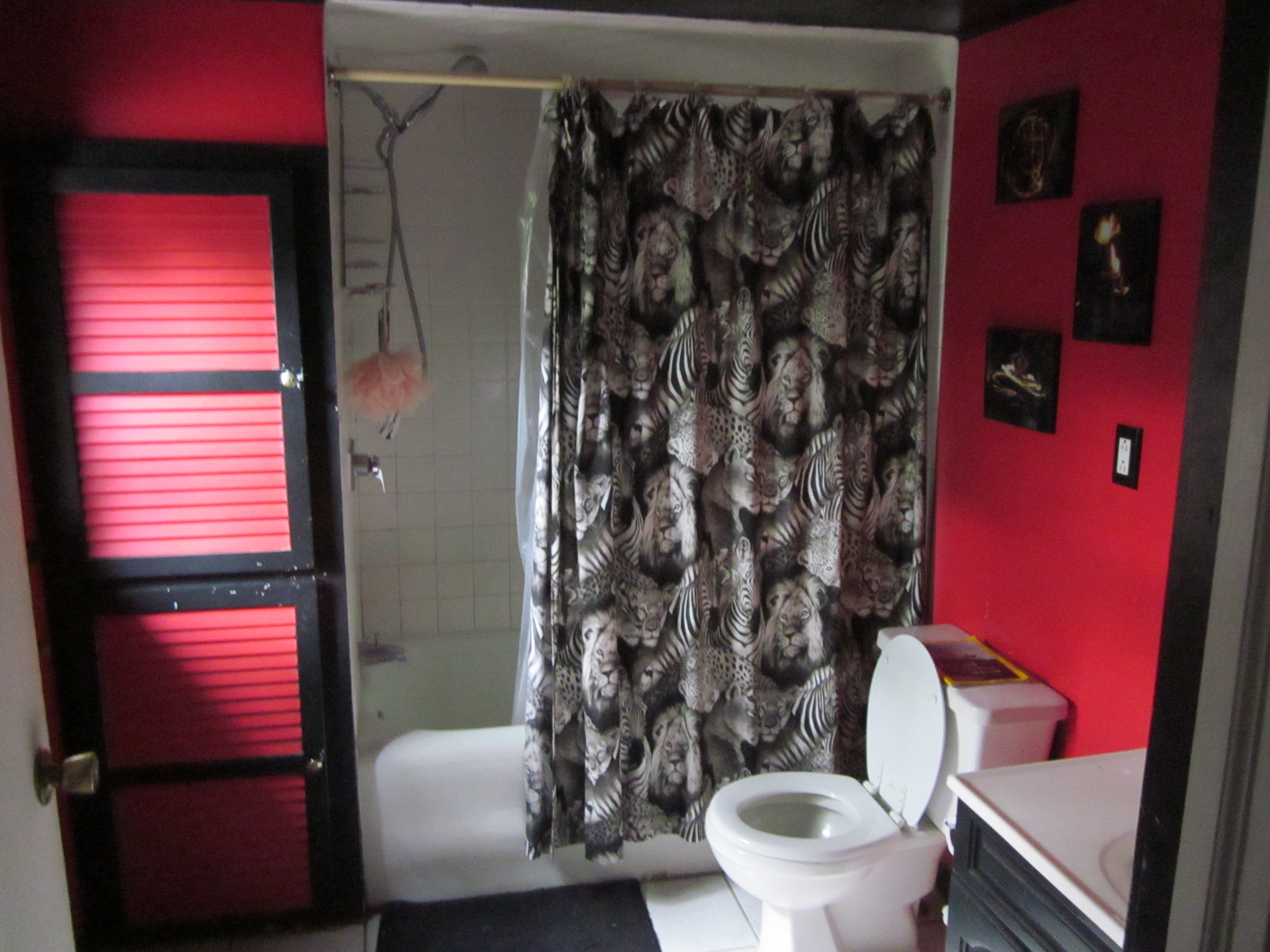 Room near tow path and river in Frenchtown Houses for Rent in