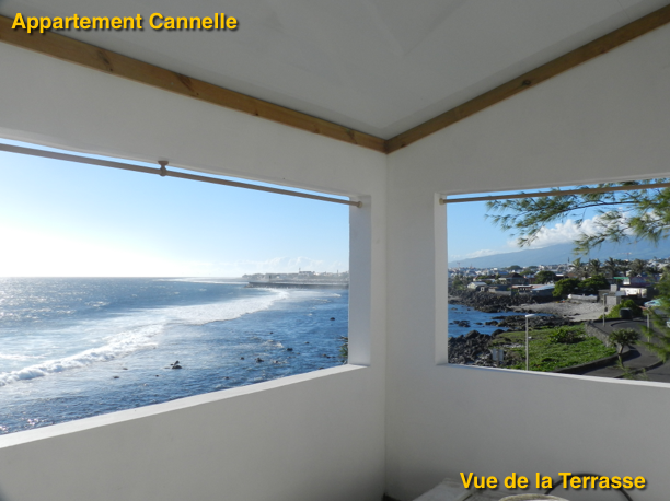 Furnished apartment with ocean view Le Cannelle