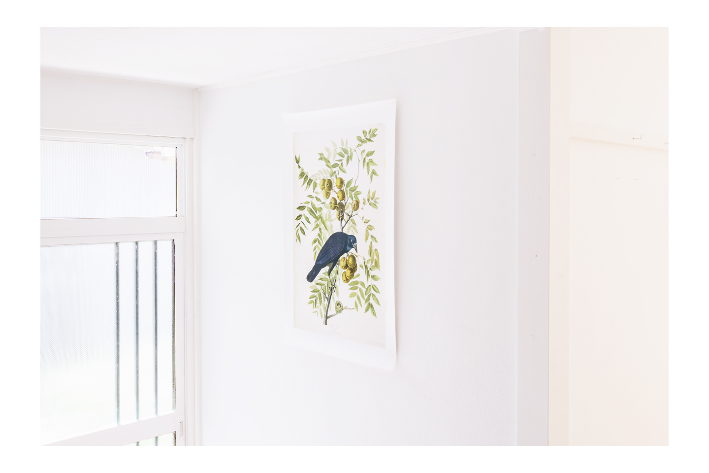 伊豆大島 ゲストハウス Halo Bungalows For Rent In Oshima Machi Tokyo Japan