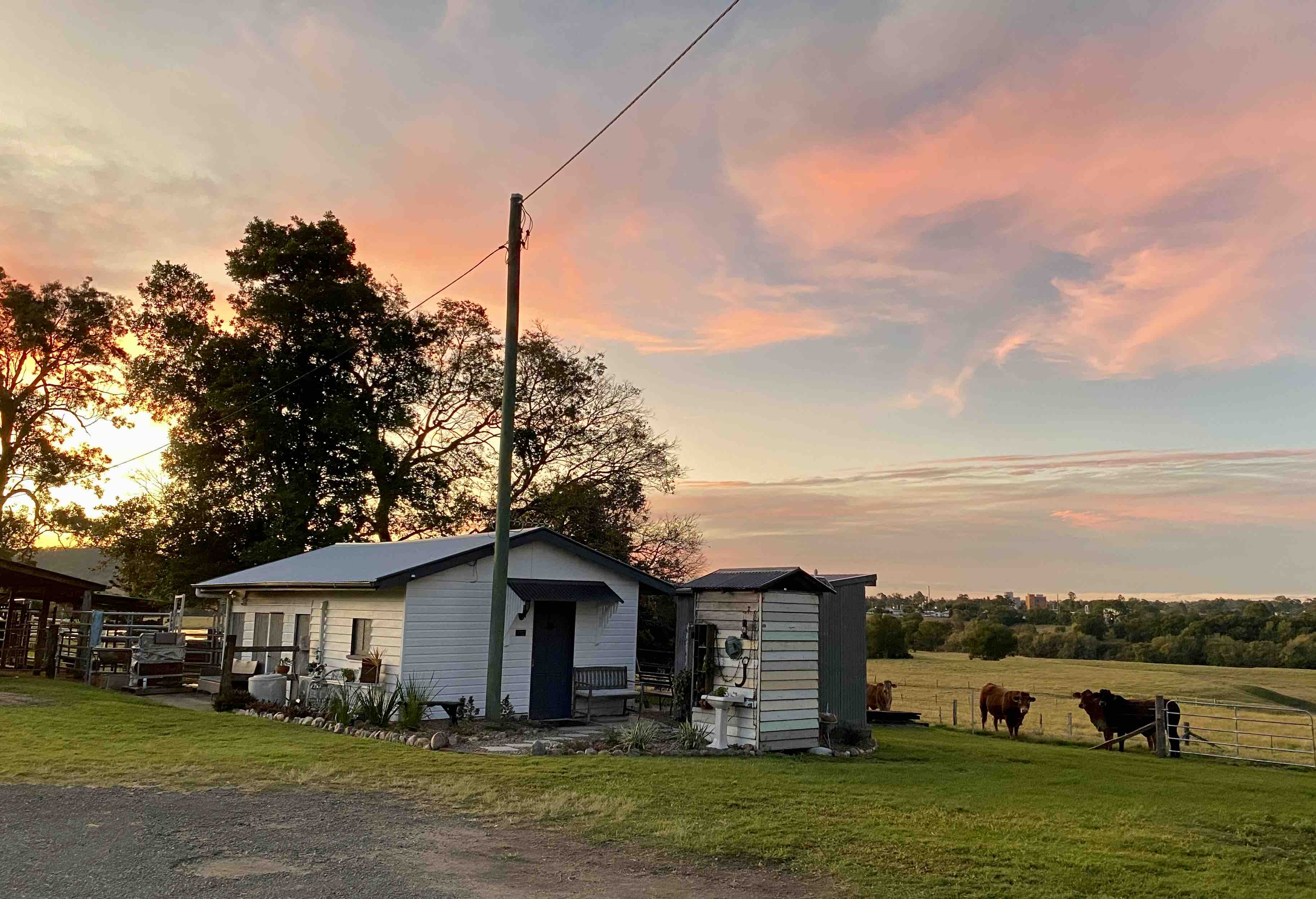 Edington on Mary - The Dairy