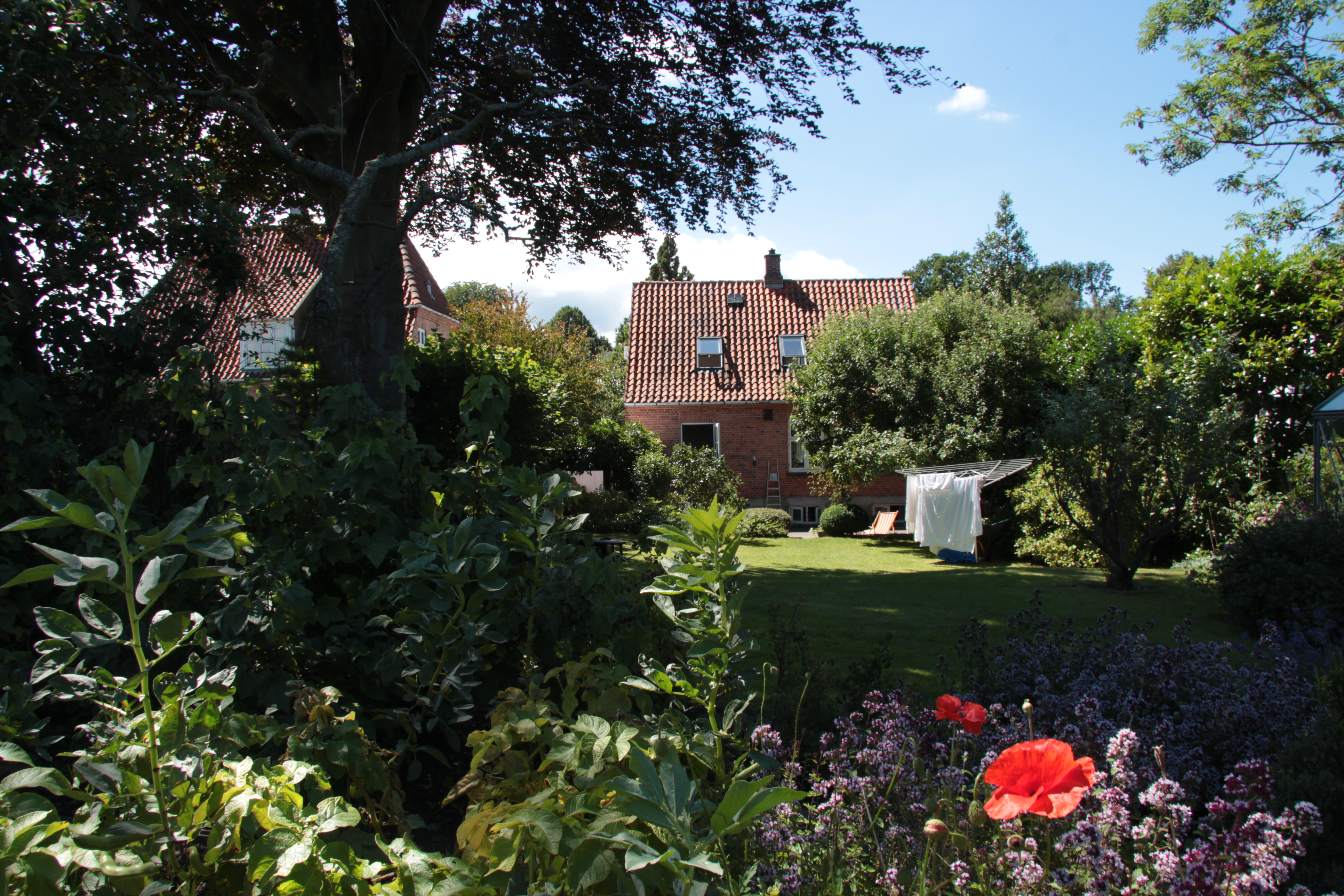 Your own cosy house with a big private garden