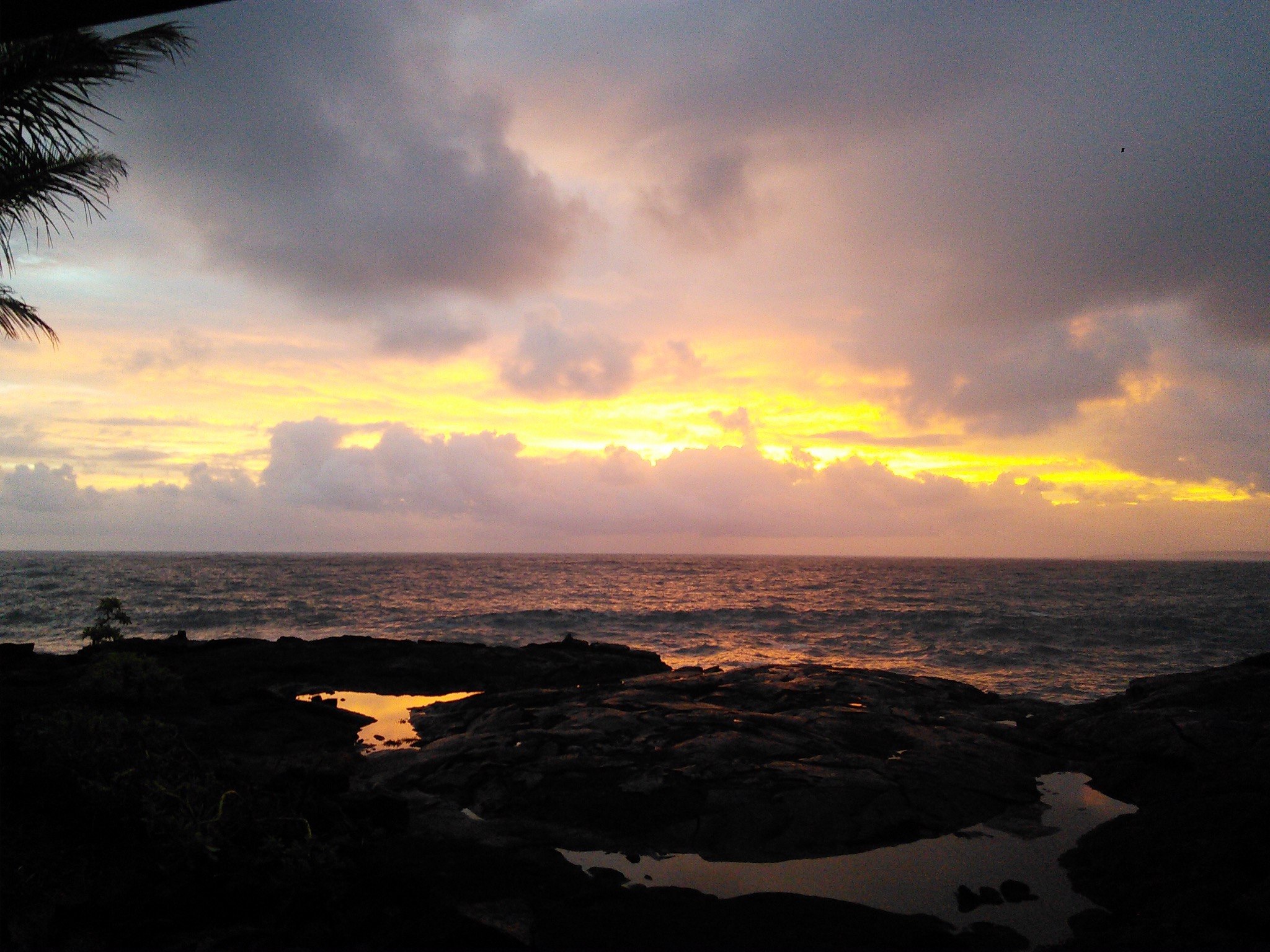 “Patti's Aloha Paradise” Guest suites for Rent in Keaau, Hawaii