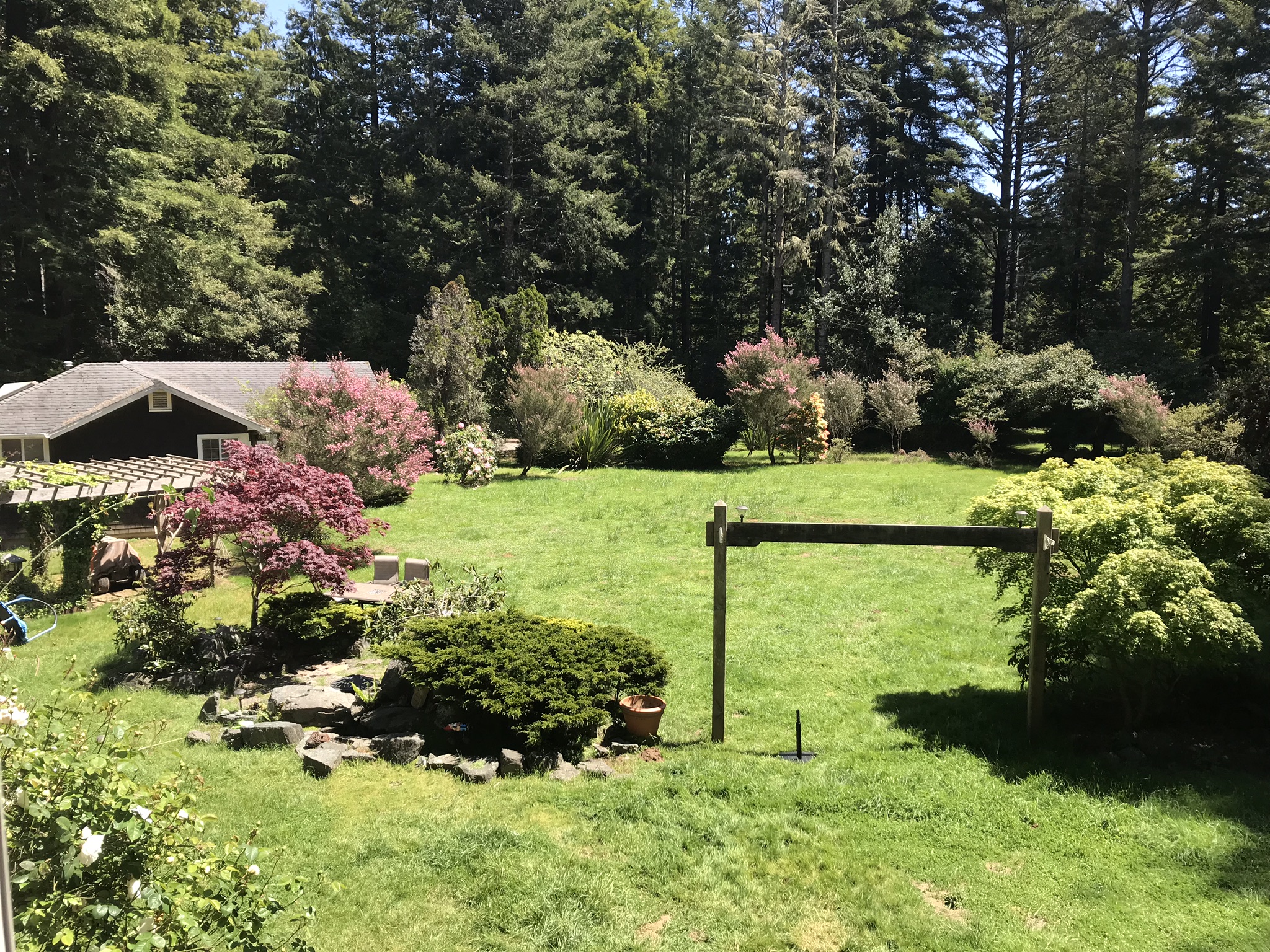 Cottage Hideaway in the Redwoods