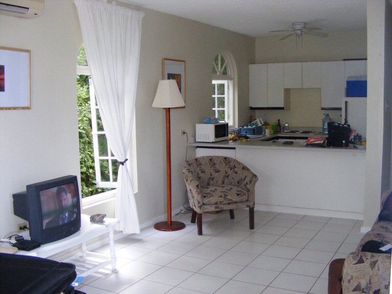 Ocean View Condo in Ocho Rios Apartments for Rent in Ocho Rios, Saint