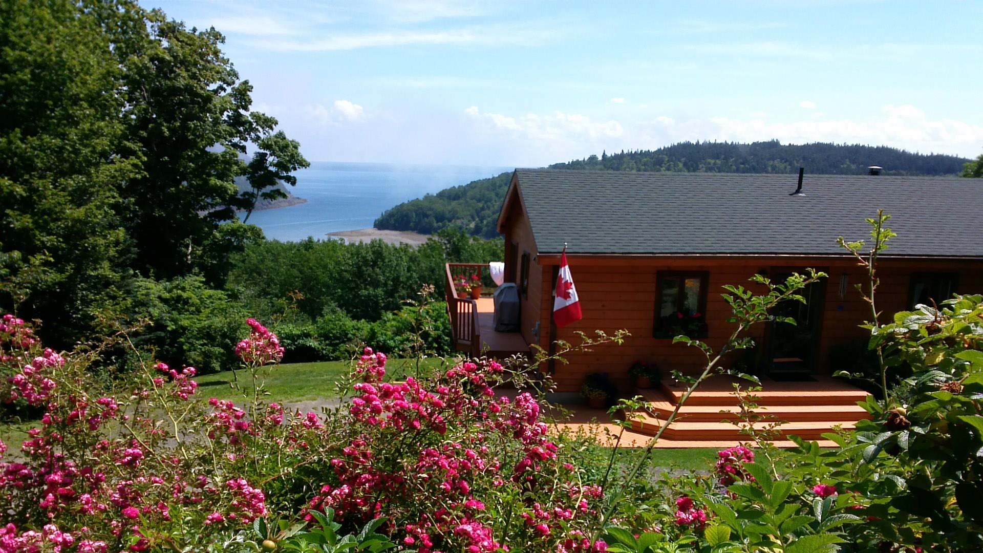 Oceanview Cottage, Covid19 Clean & Ready Apartments for Rent in