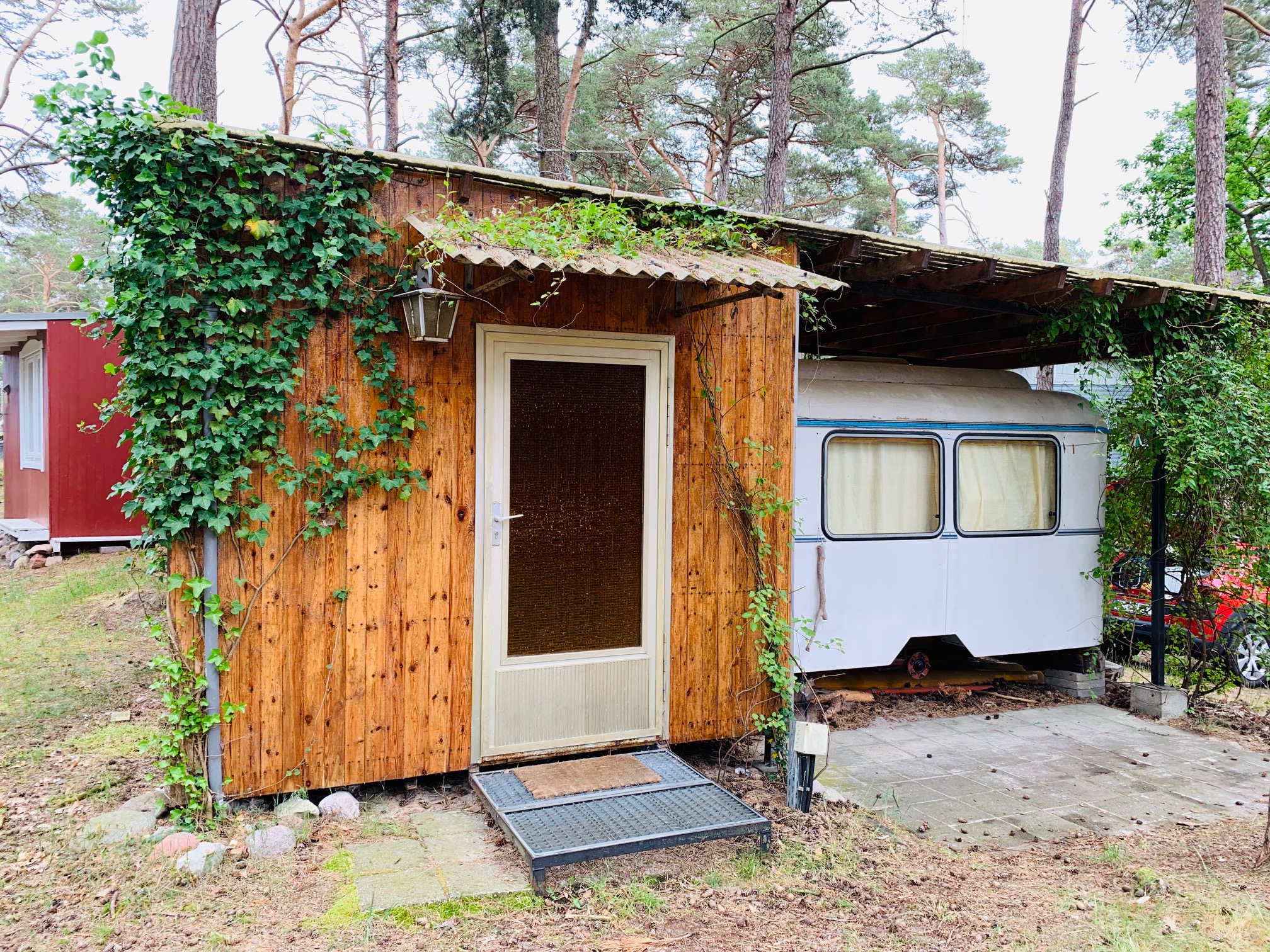 Bungalow in the green conifer forest 2 min. from the Baltic Sea