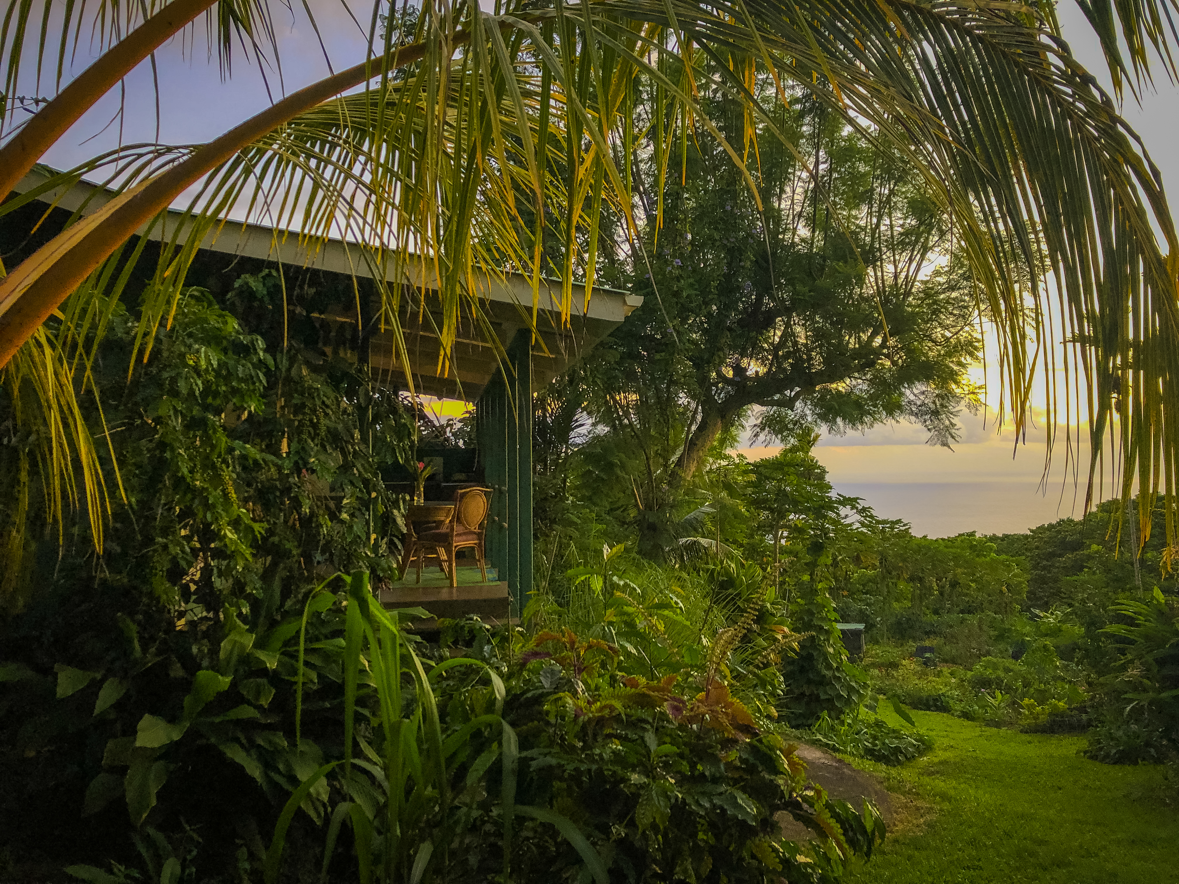 Garden Cottage with Ocean View
