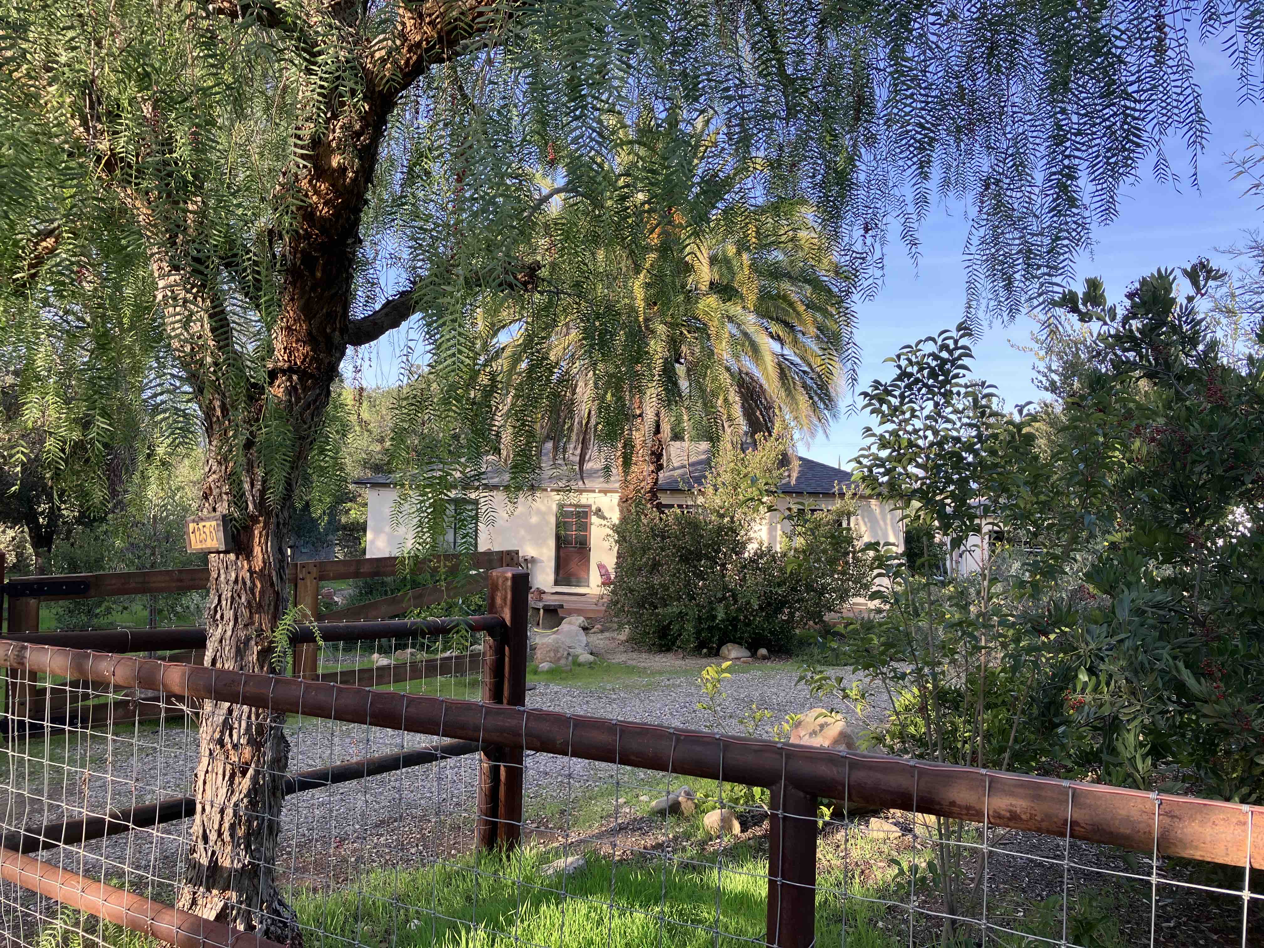 Lost Creek Vineyard