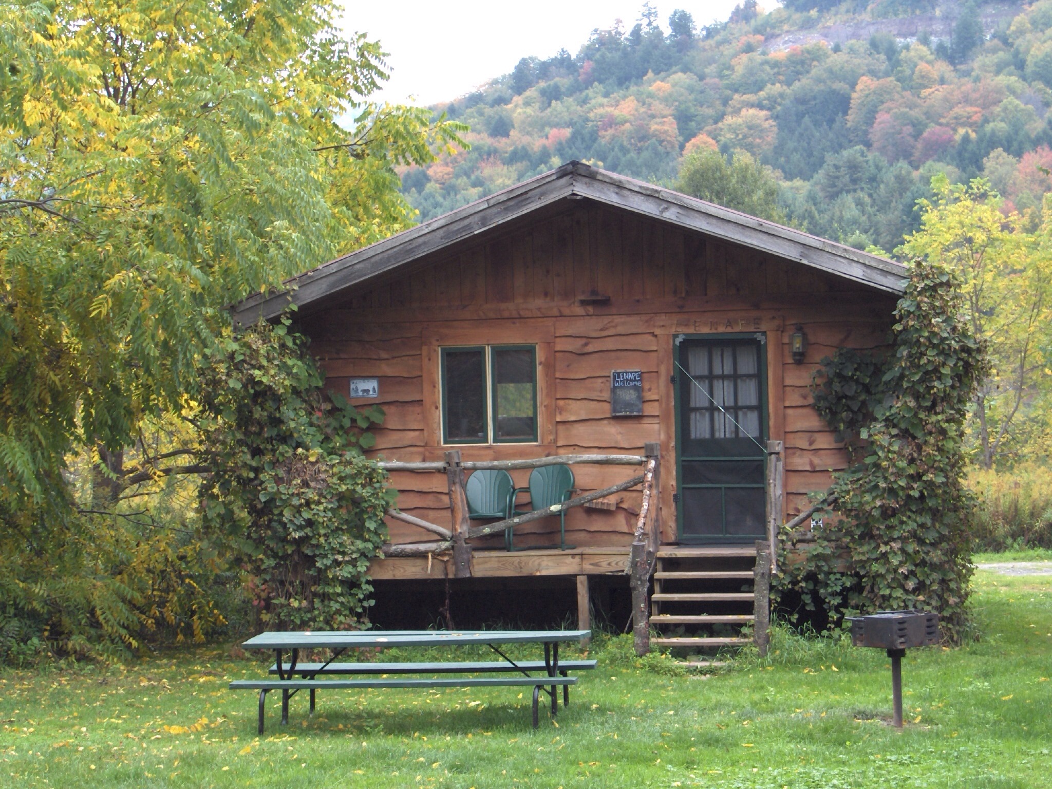 Catskill Rustic Cozy "Unami" Cabin Cabins for Rent in Downsville, New