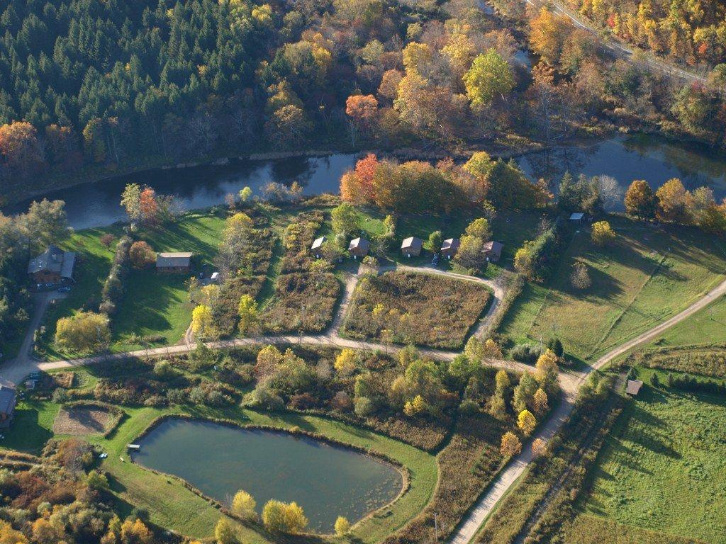 Catskill Mt "Algonkin" Cabin Cabins for Rent in Downsville, New York