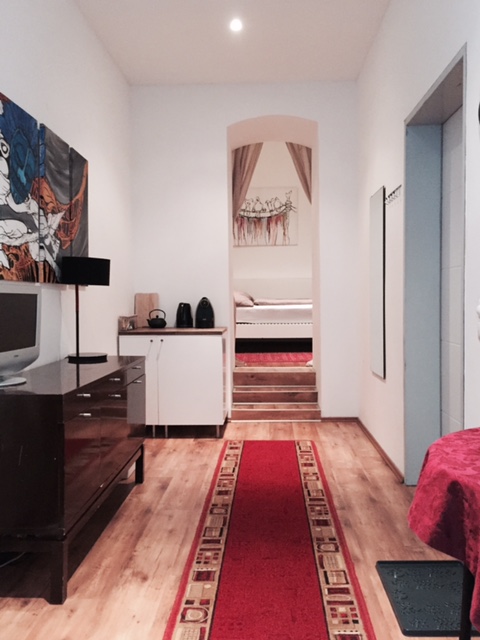 Cozy Apartment in the City