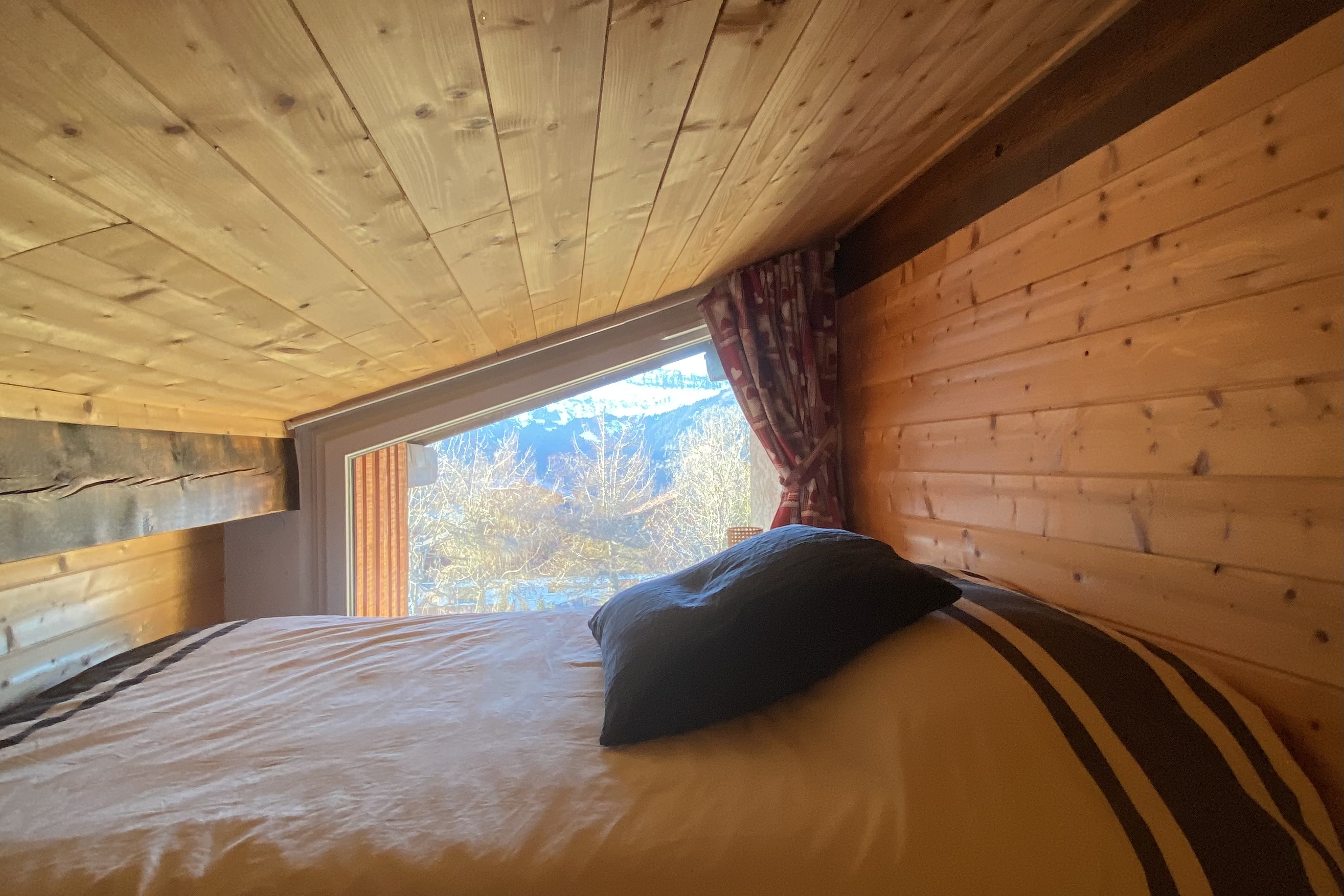 ski-in/ski-out apartment