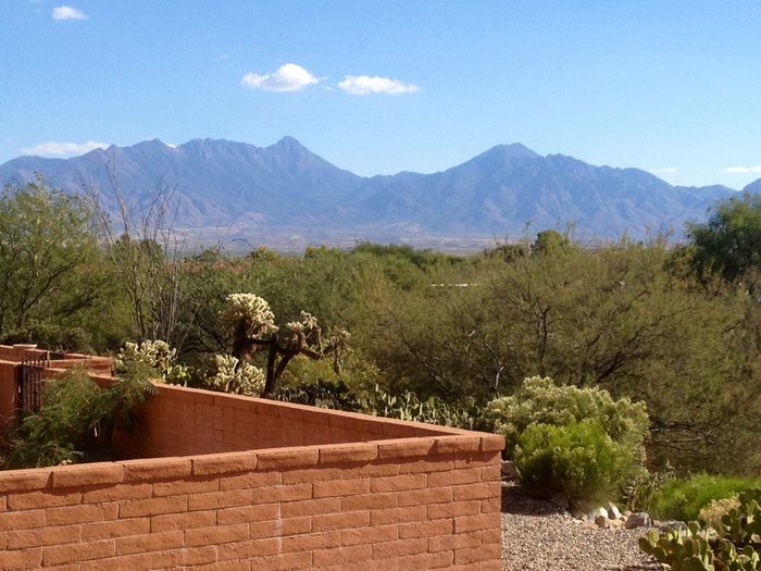 Comfy Townhome with Santa Rita Mountains view