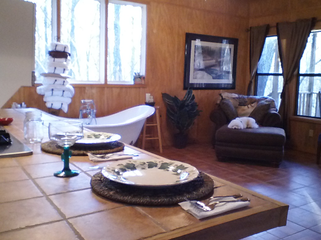 The Emerald Forrest Swamp Cabin Cabins for Rent in Uvalda,