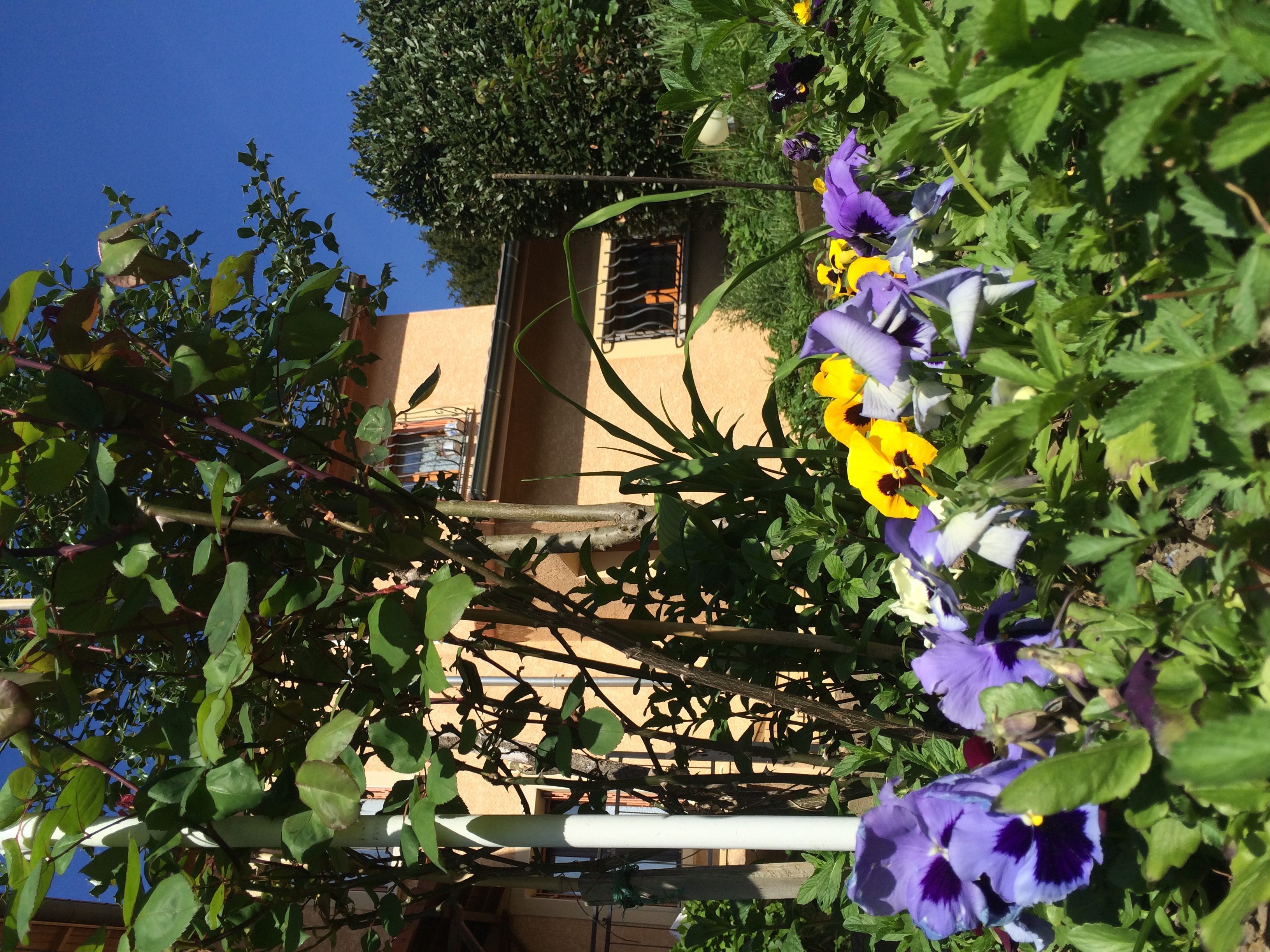 Ecully near Lyon Cen, high way, public transport