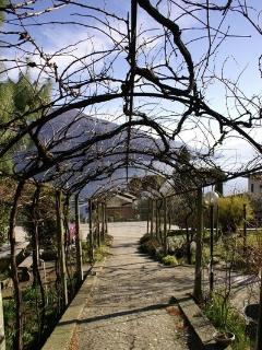 Lake, Mountains and Sympathy