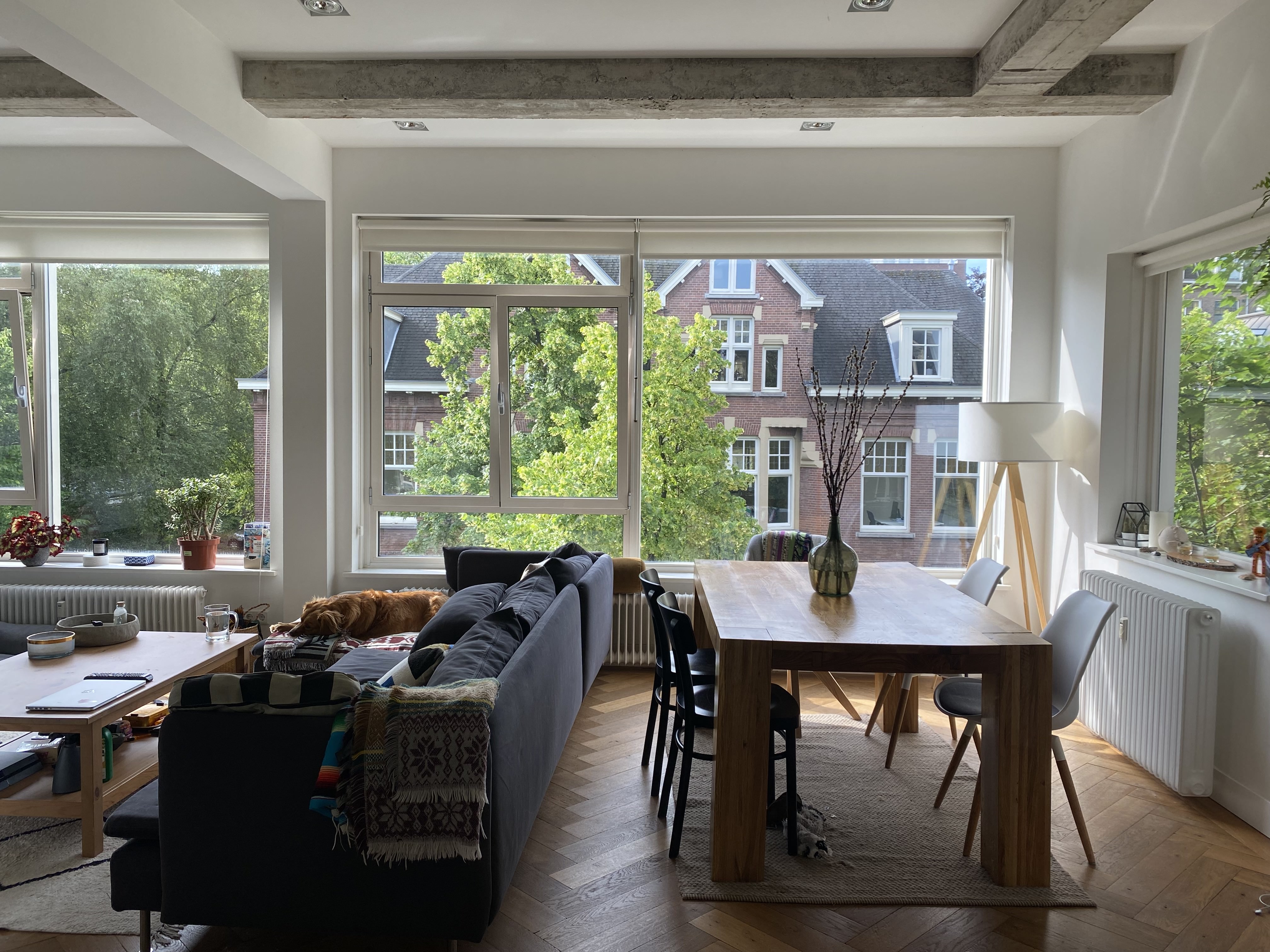 Modern & Spacious luxury apartment in Willemspark โ Amsterdam stay