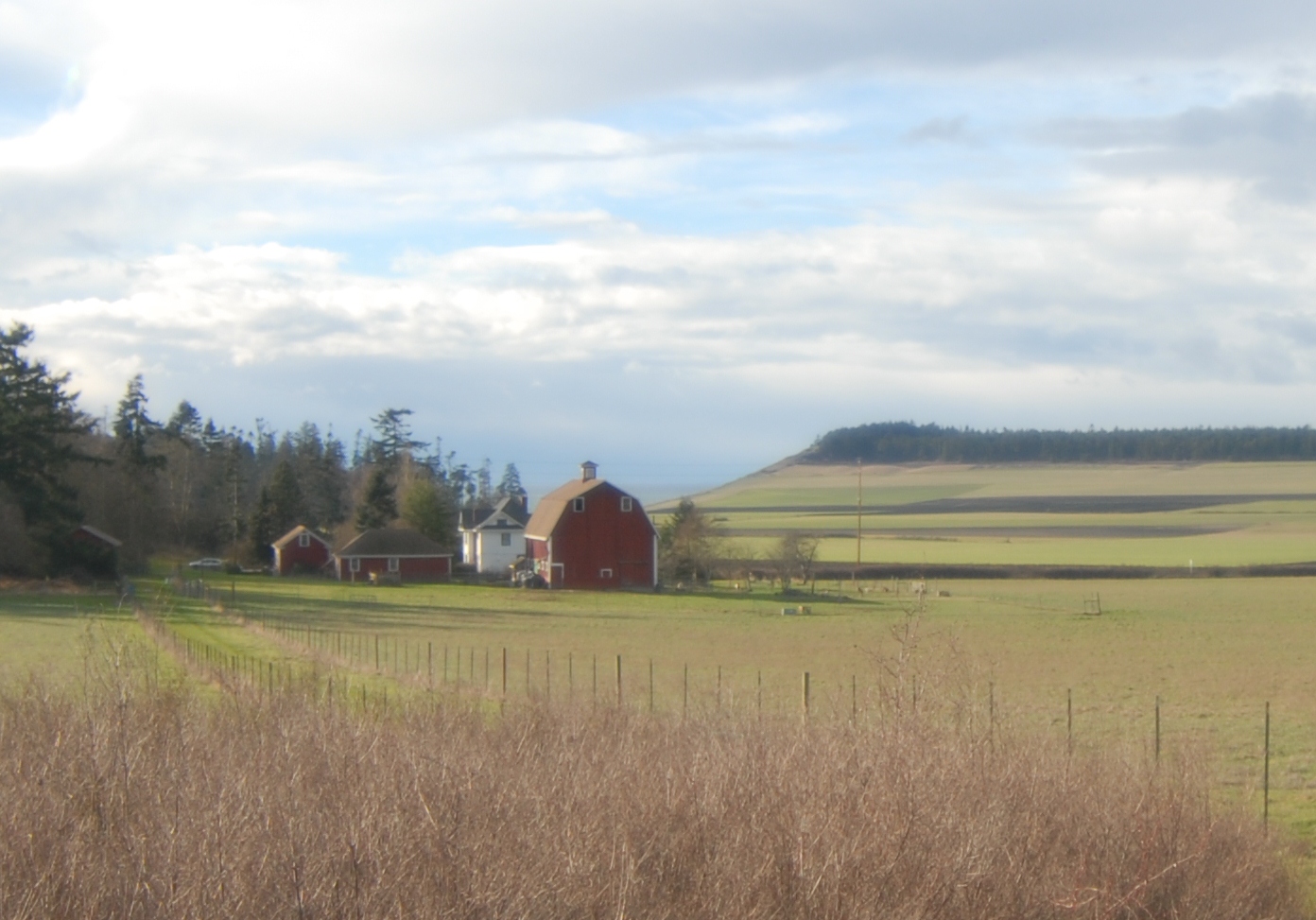 Historic Farm House sleeps up to 10 Houses for Rent in Coupeville