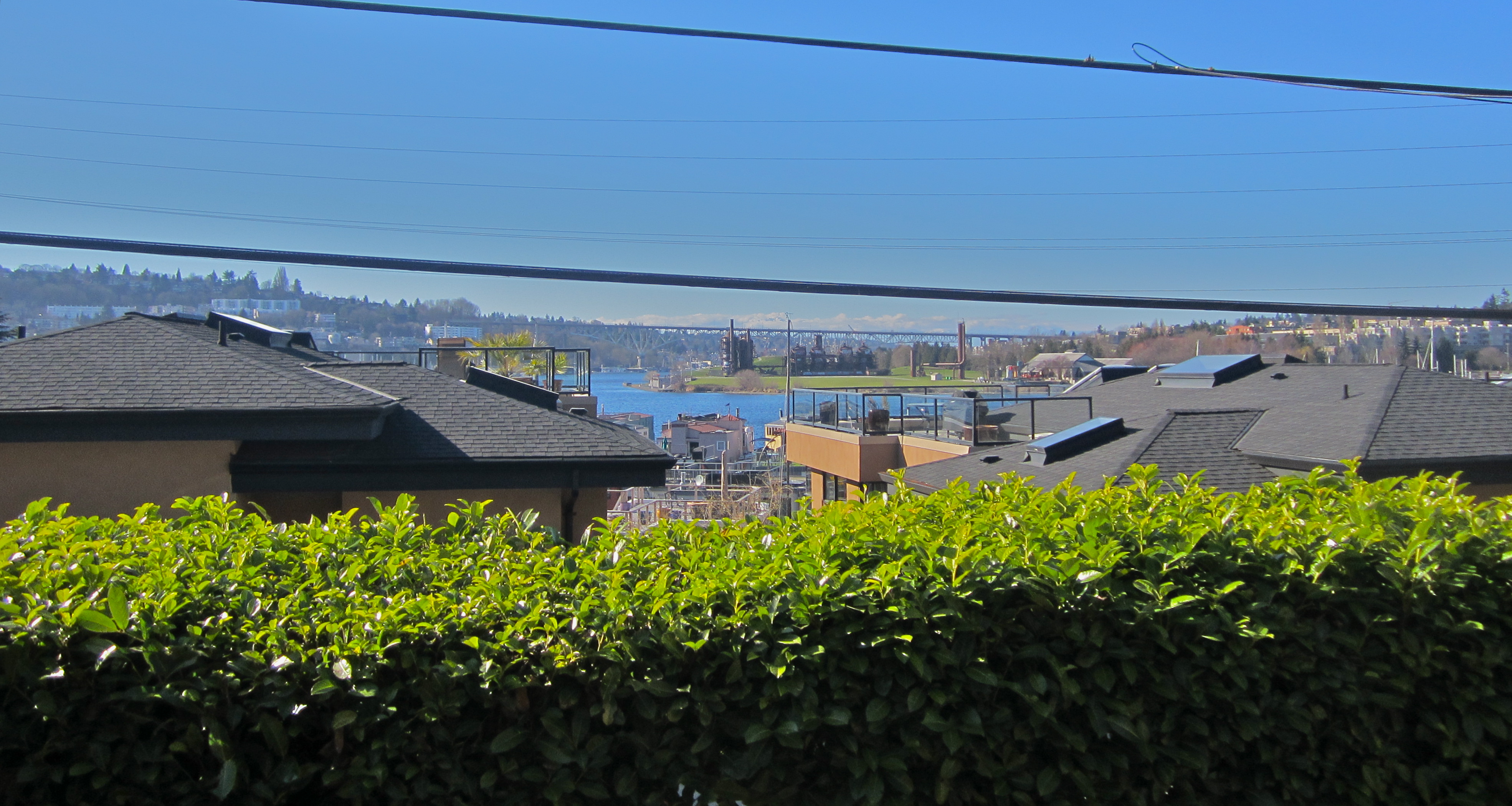 Lake Union View City Cabin