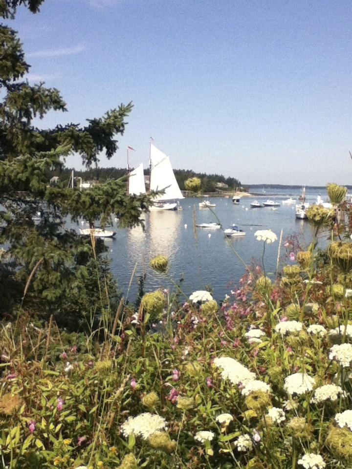 Coastline View Cottages for Rent in Saint Maine, United States Airbnb