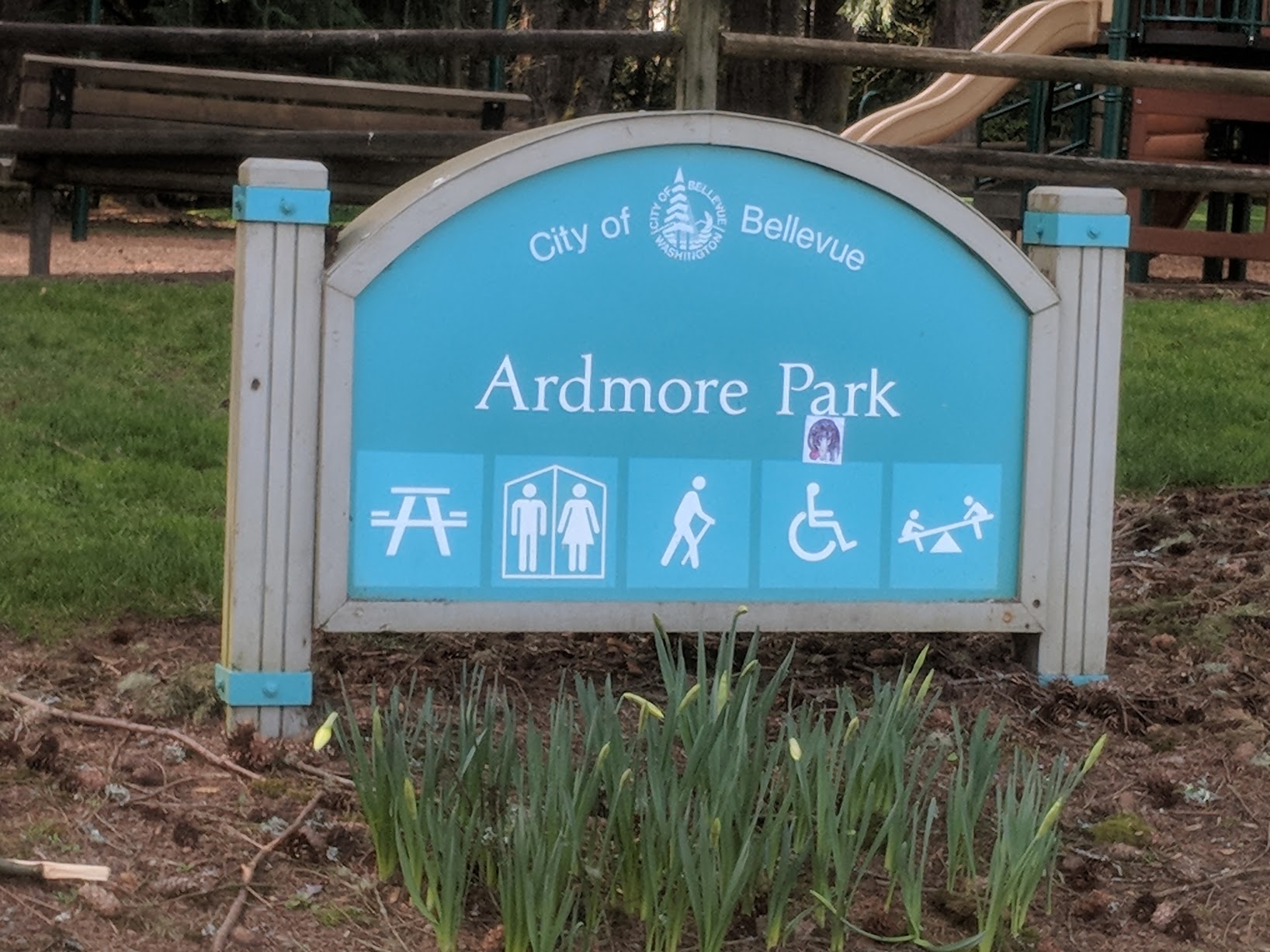 Bellevue Near Microsoft Forested Retreat Houses For Rent In Bellevue Washington United States