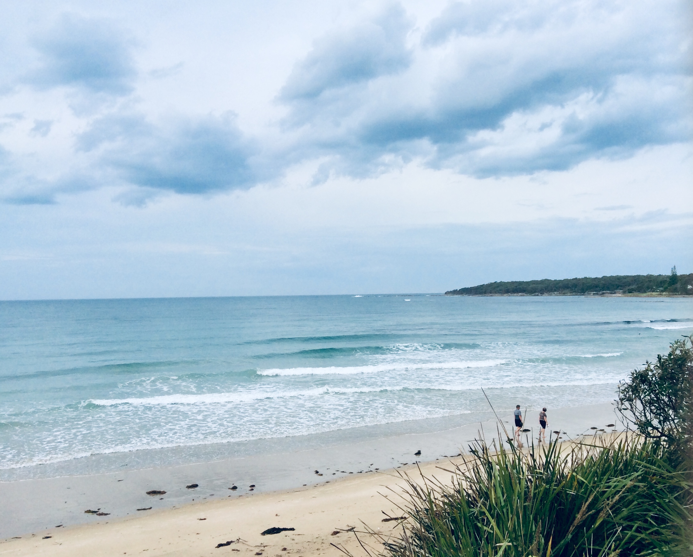 KurraGarden Studio (On Currarong Main Beach) Apartments for Rent in Currarong, New South