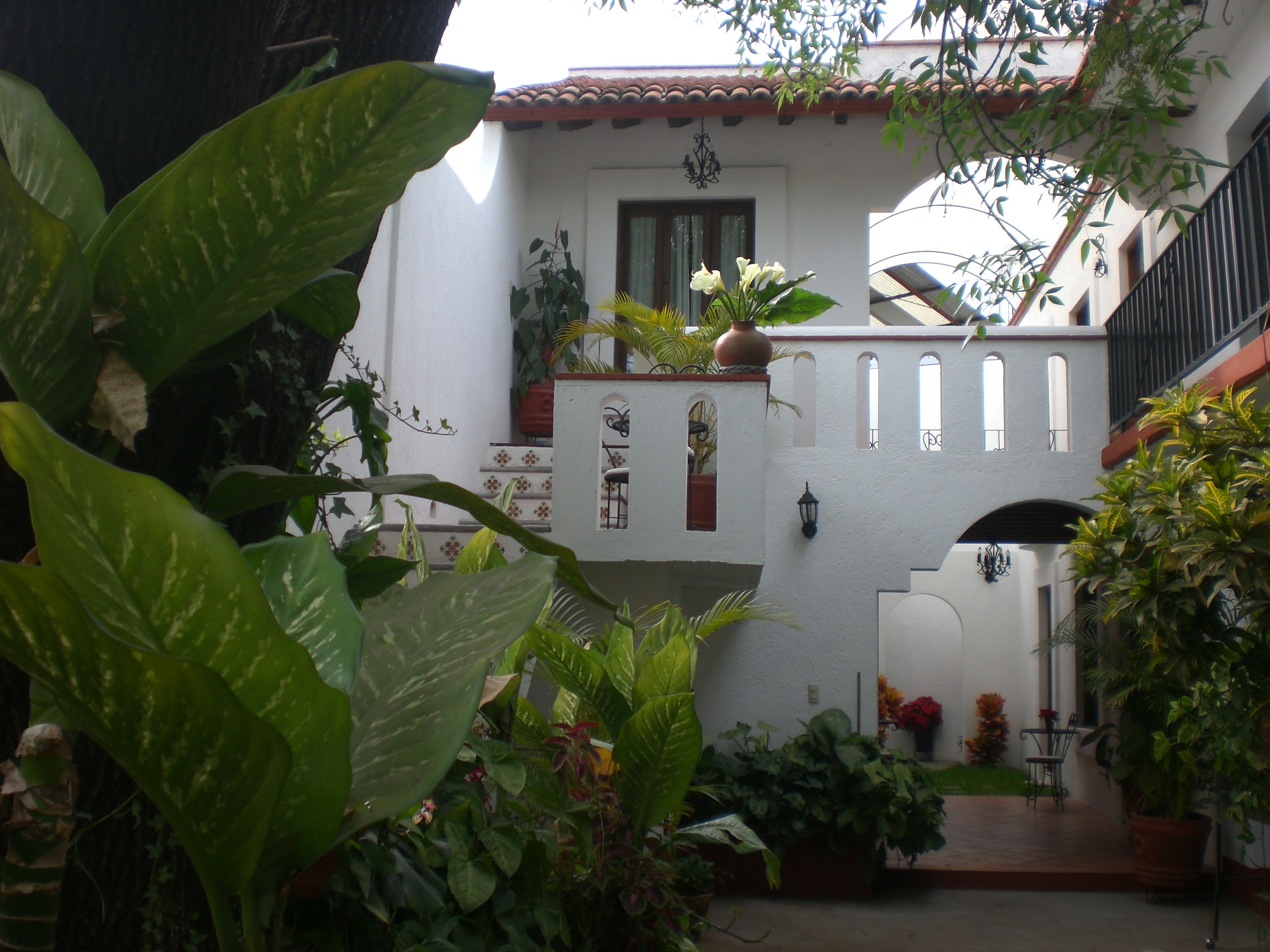 Very nice apartments in Oaxaca.. Apartments for Rent in Oaxaca