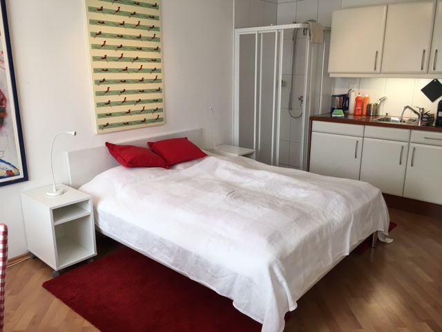 Small cozy studio (left)