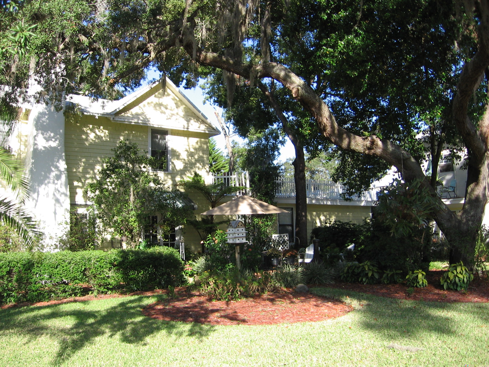 Historic House Apartment Tarpon Springs Apartments for Rent in Tarpon