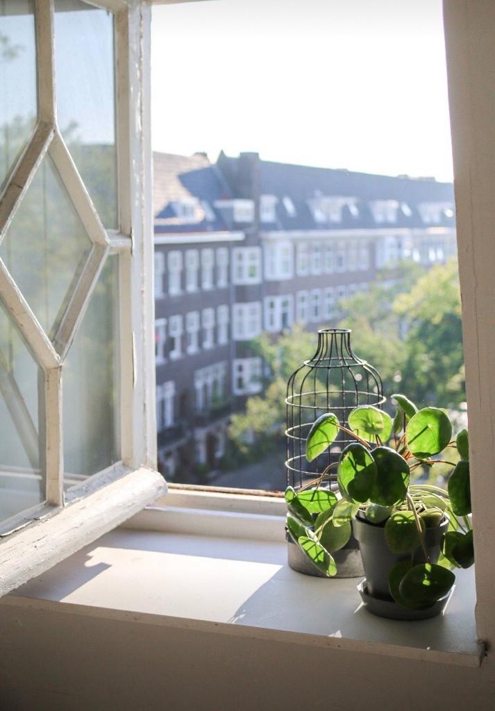Lovely characterful studio in Old South area — Amsterdam stay