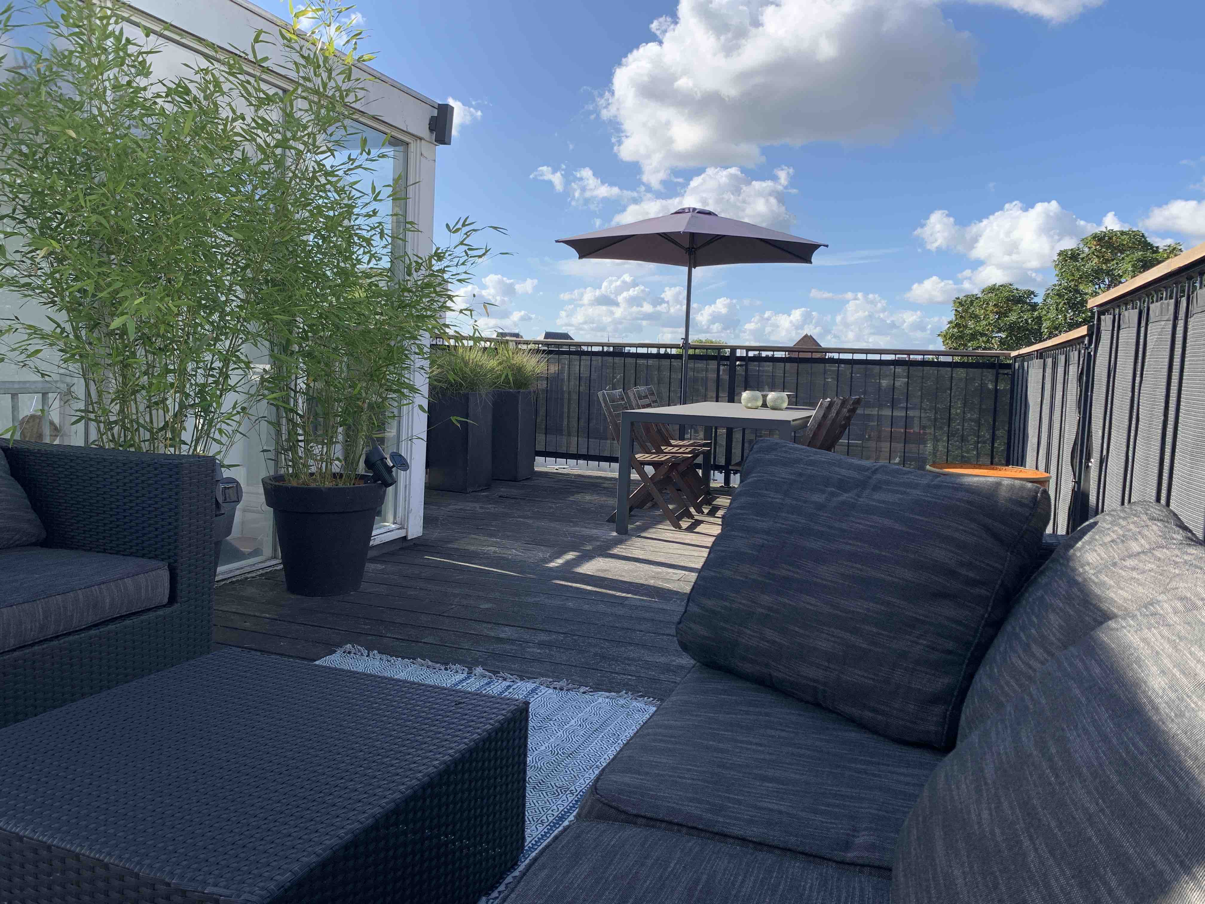 Stylish apt with rooftop in Museum Quarter — Amsterdam stay