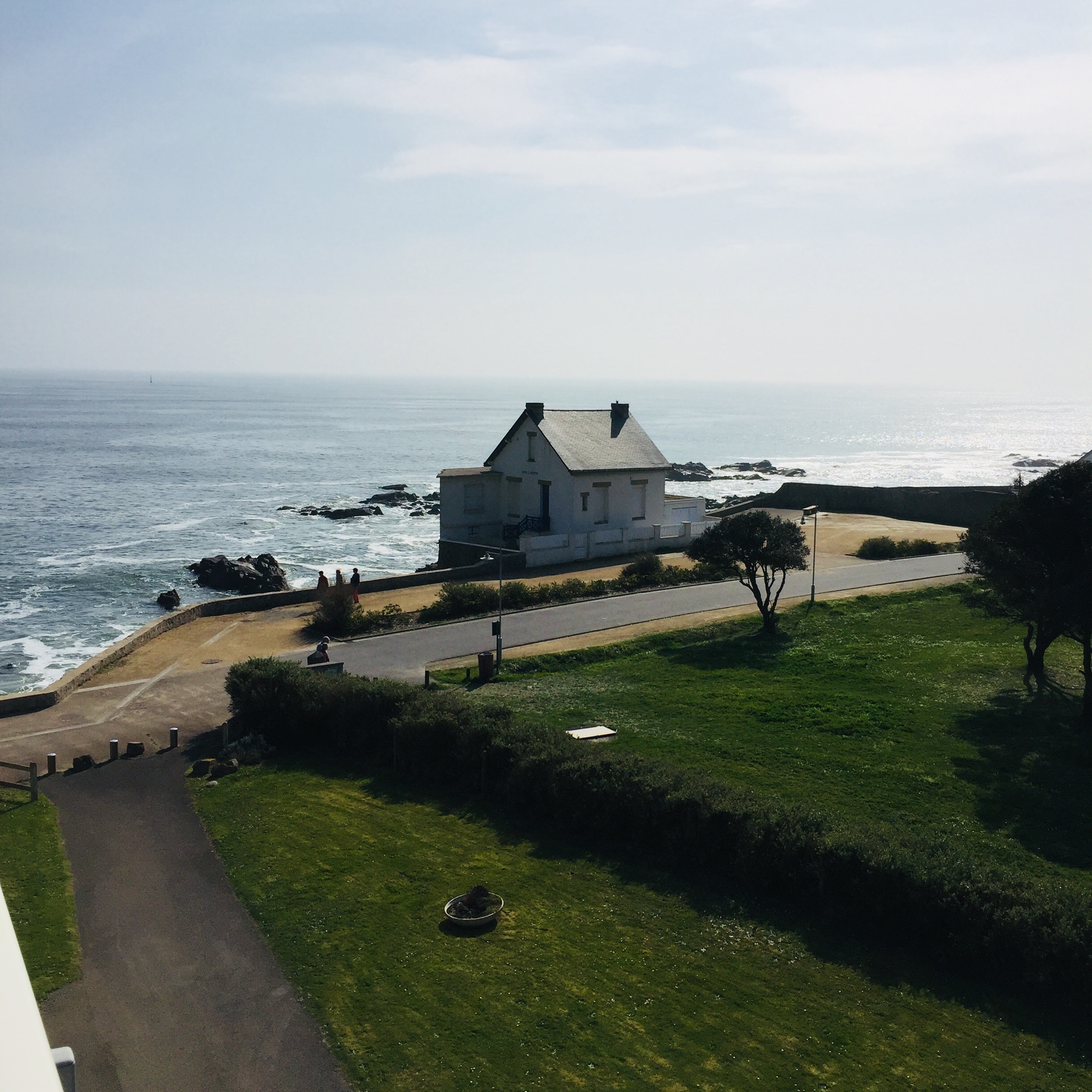 WILD COAST BATZ SEA VIEW SEA VIEW