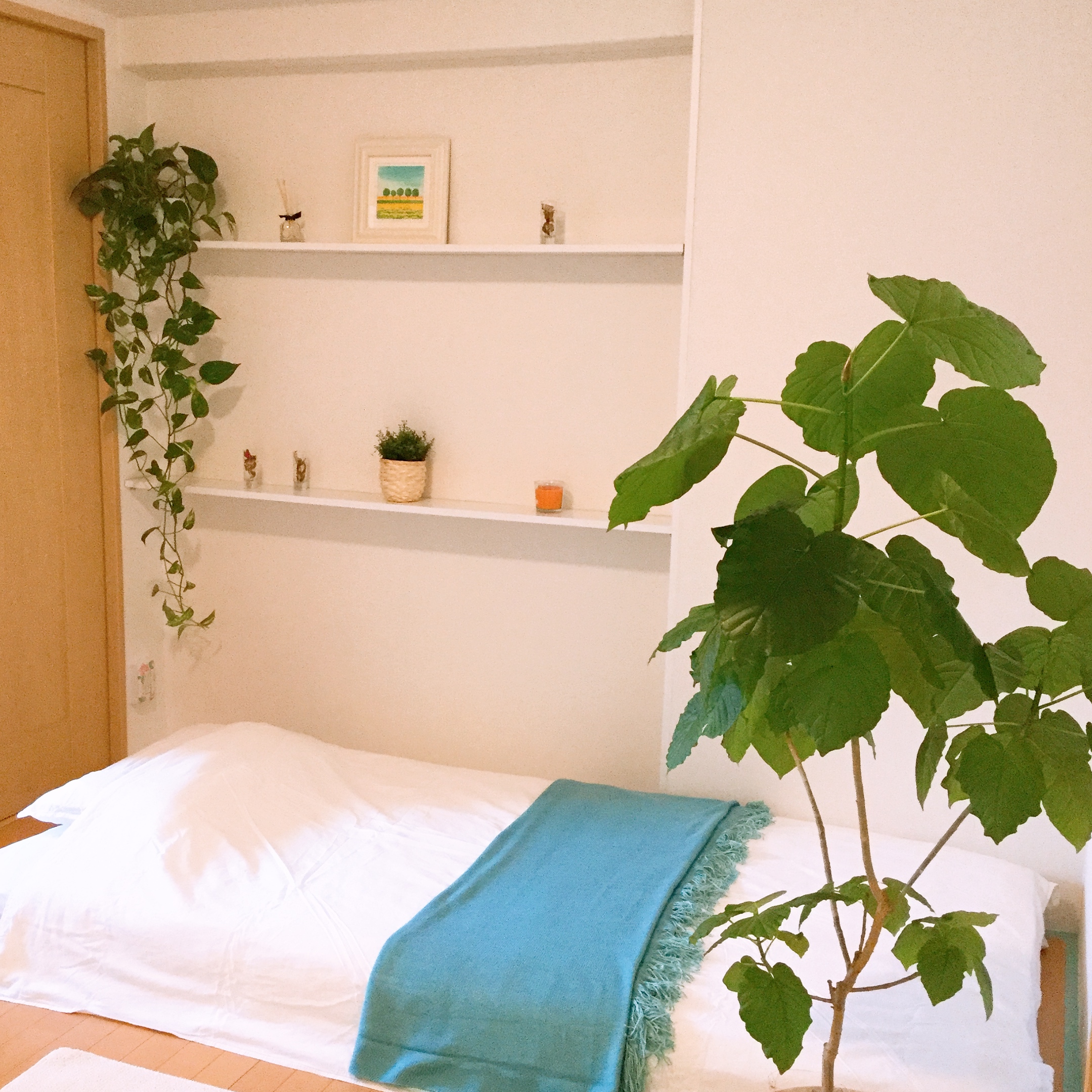 205 A wondeful, stylish convenient sparkling clean
