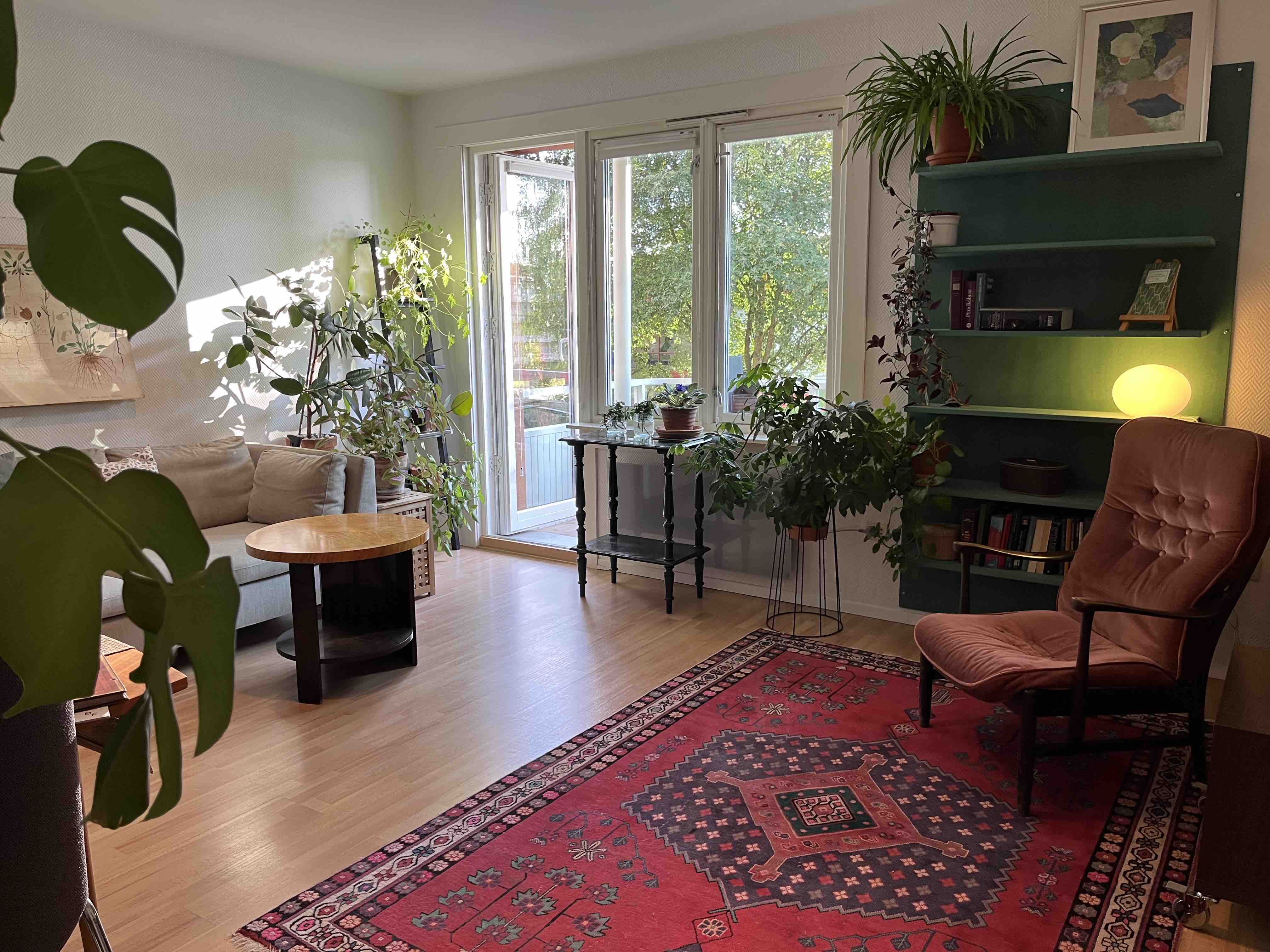 Peaceful flat with cat near the forest
