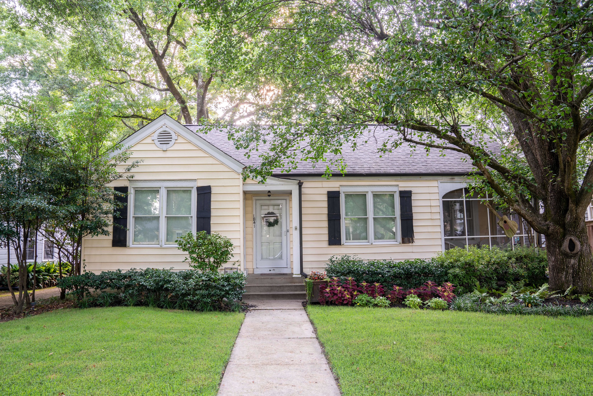 Cozy Bedroom and bath in Belhaven w/ Private Entry Houses for Rent in