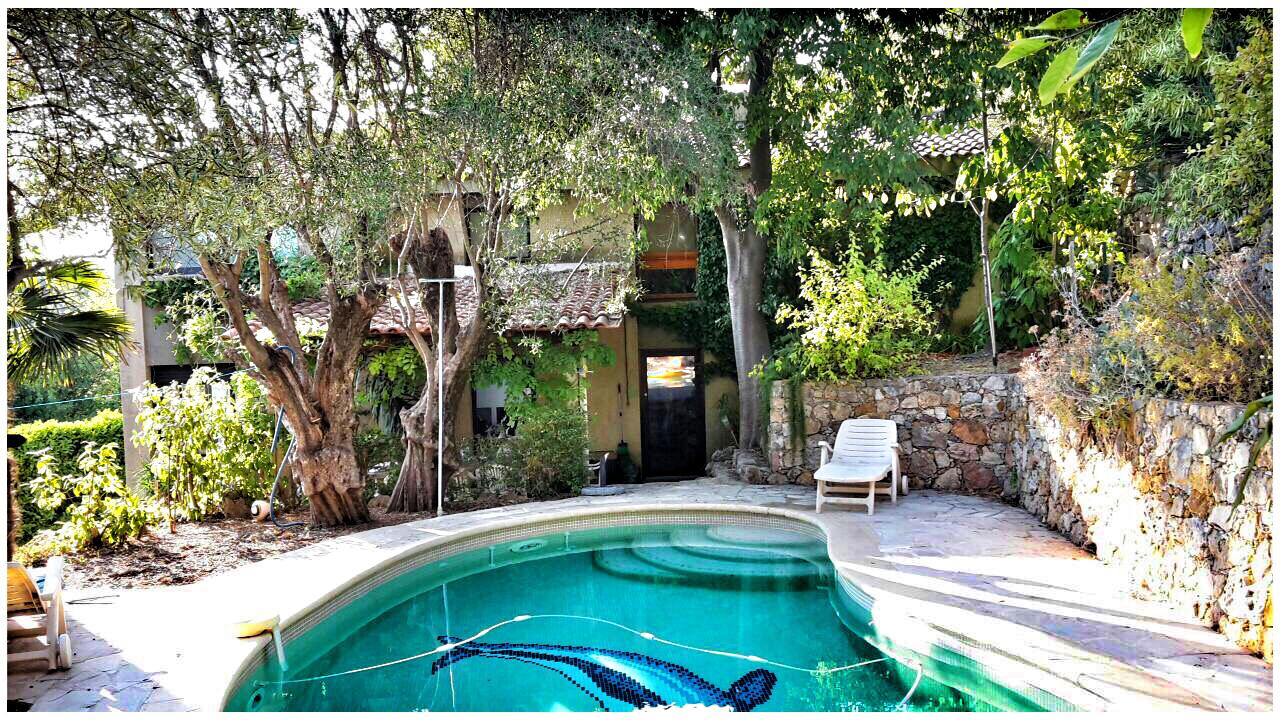 Very nice view villa with pool in Montauroux