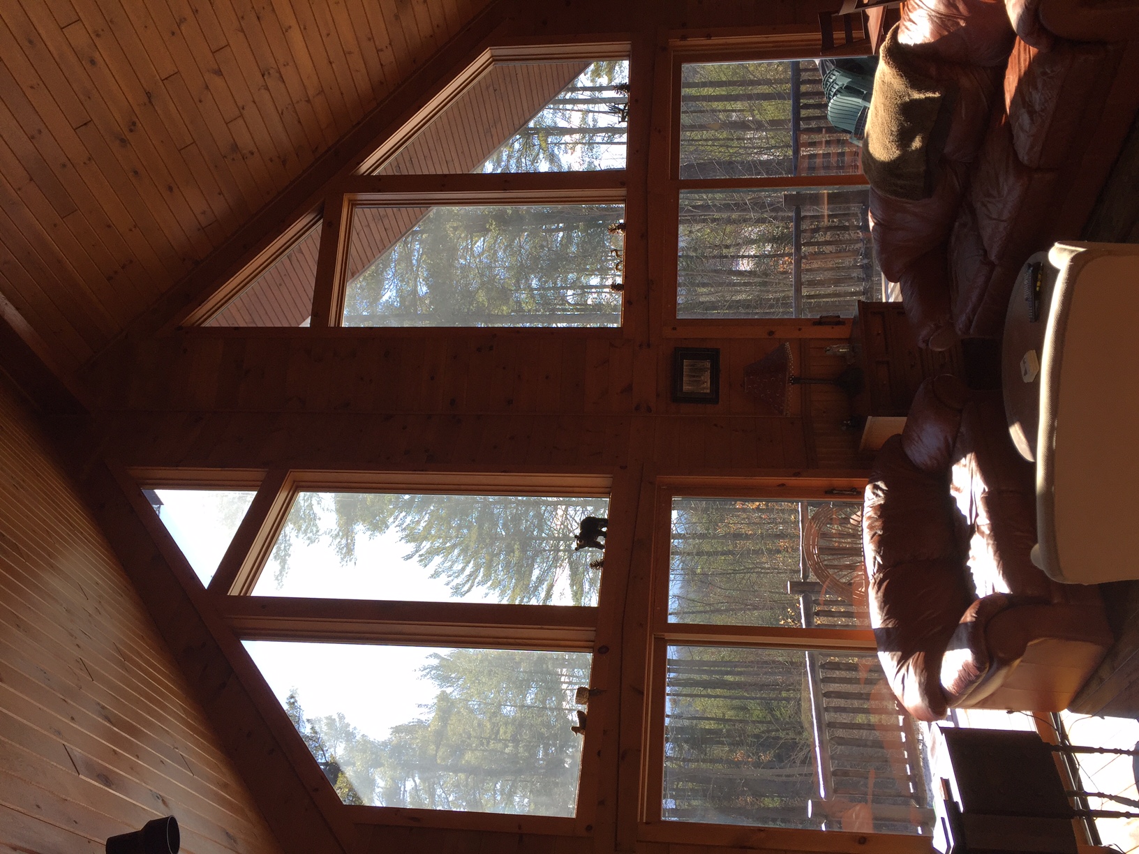 Betsy's Wildlife Retreat: Private & Dog Friendly - Cabins ...