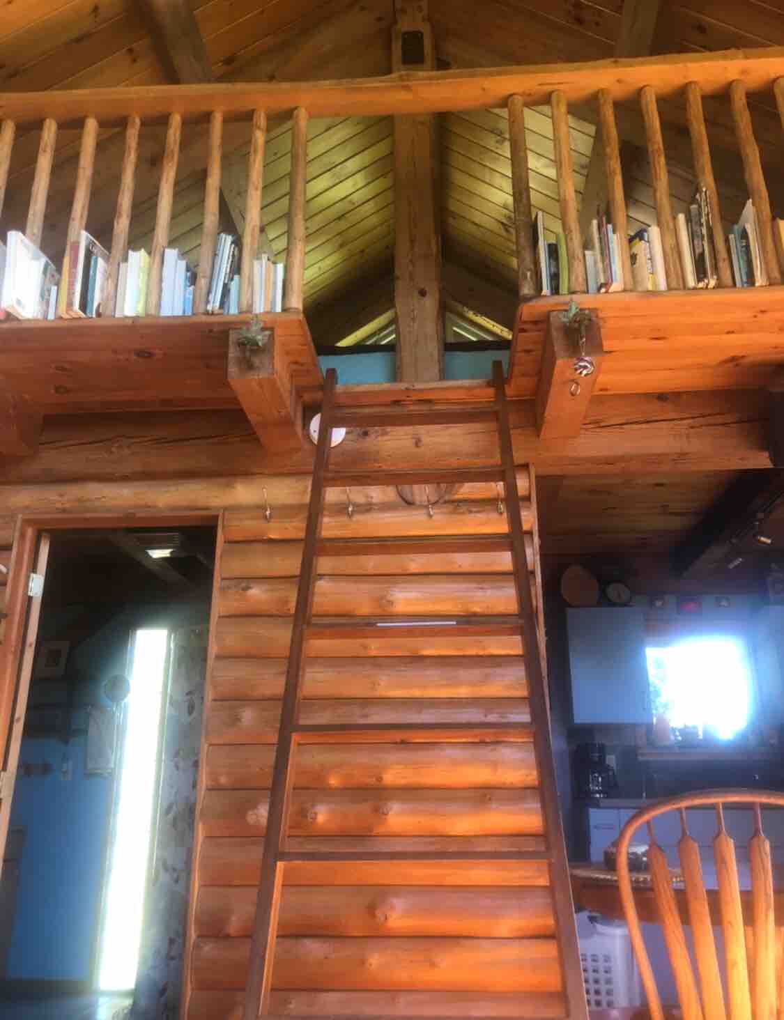 Little Cabin at Rocky Top Farms (dog friendly!) Cabins for Rent in Ellsworth, Michigan, United